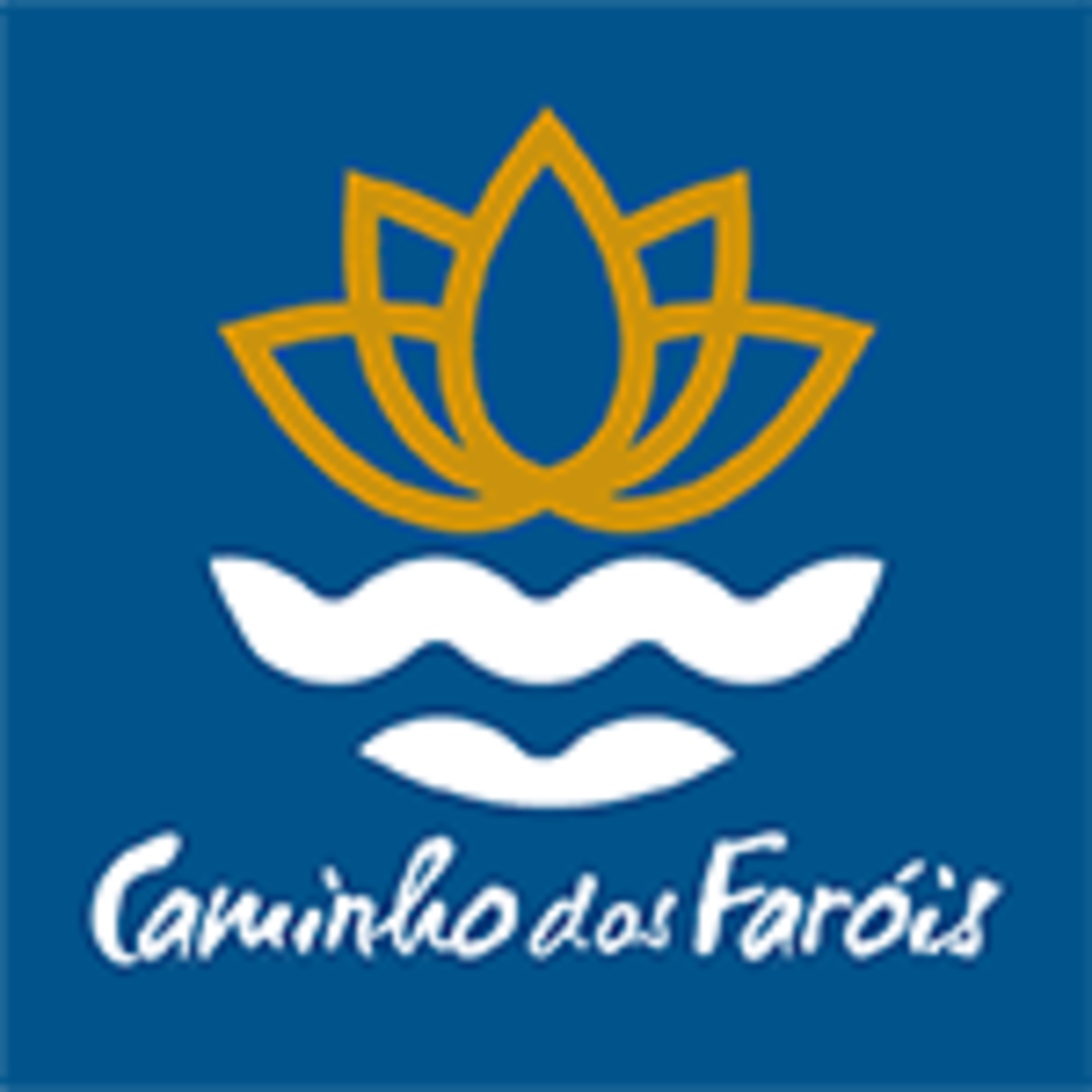 Richar Enry Ferreira