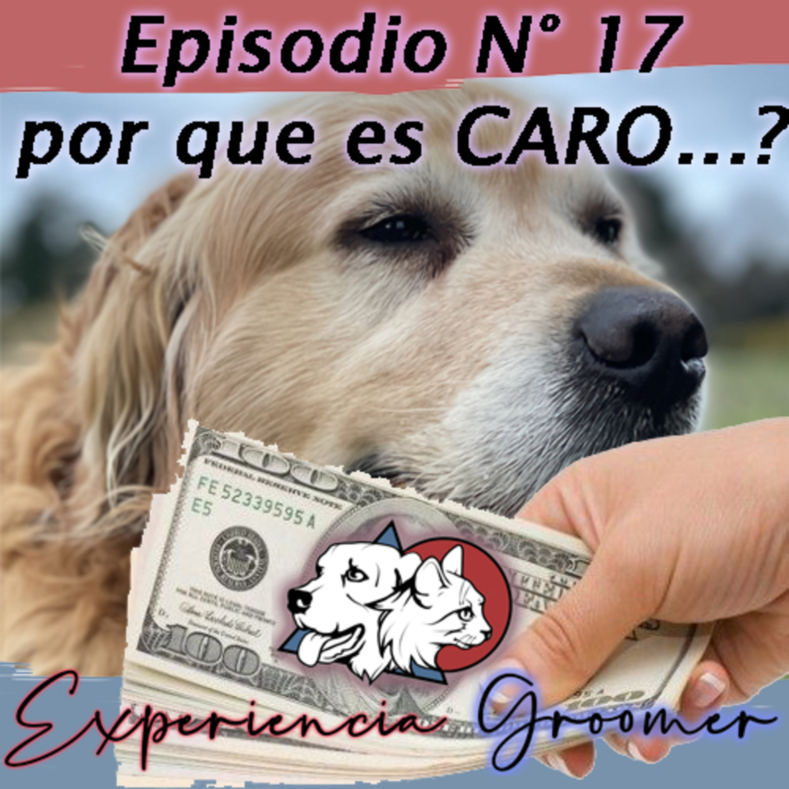 Episodio N°17 | Por que es CARO la peluquería Canina? episode artwork