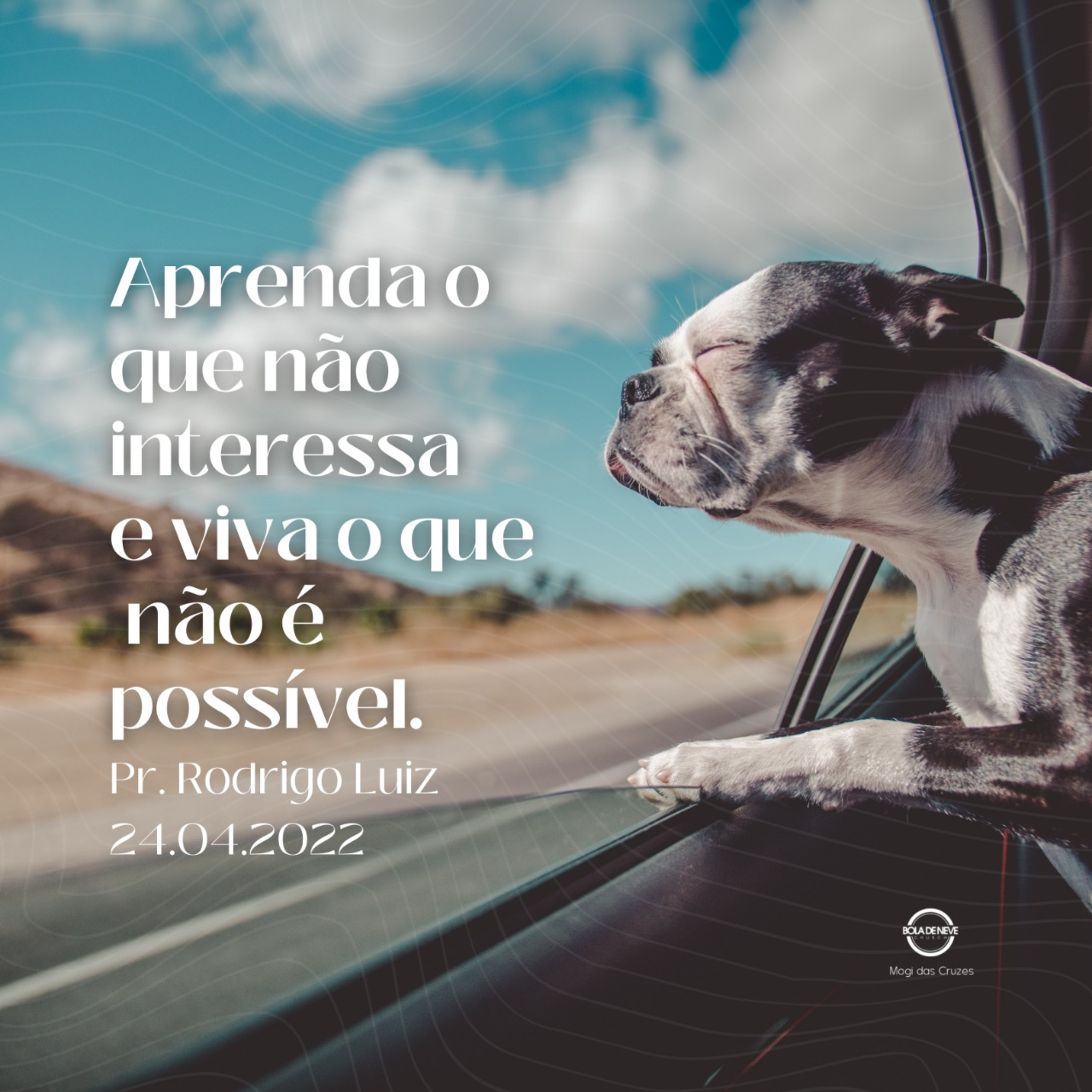 Bola de Neve Mogi das Cruzes