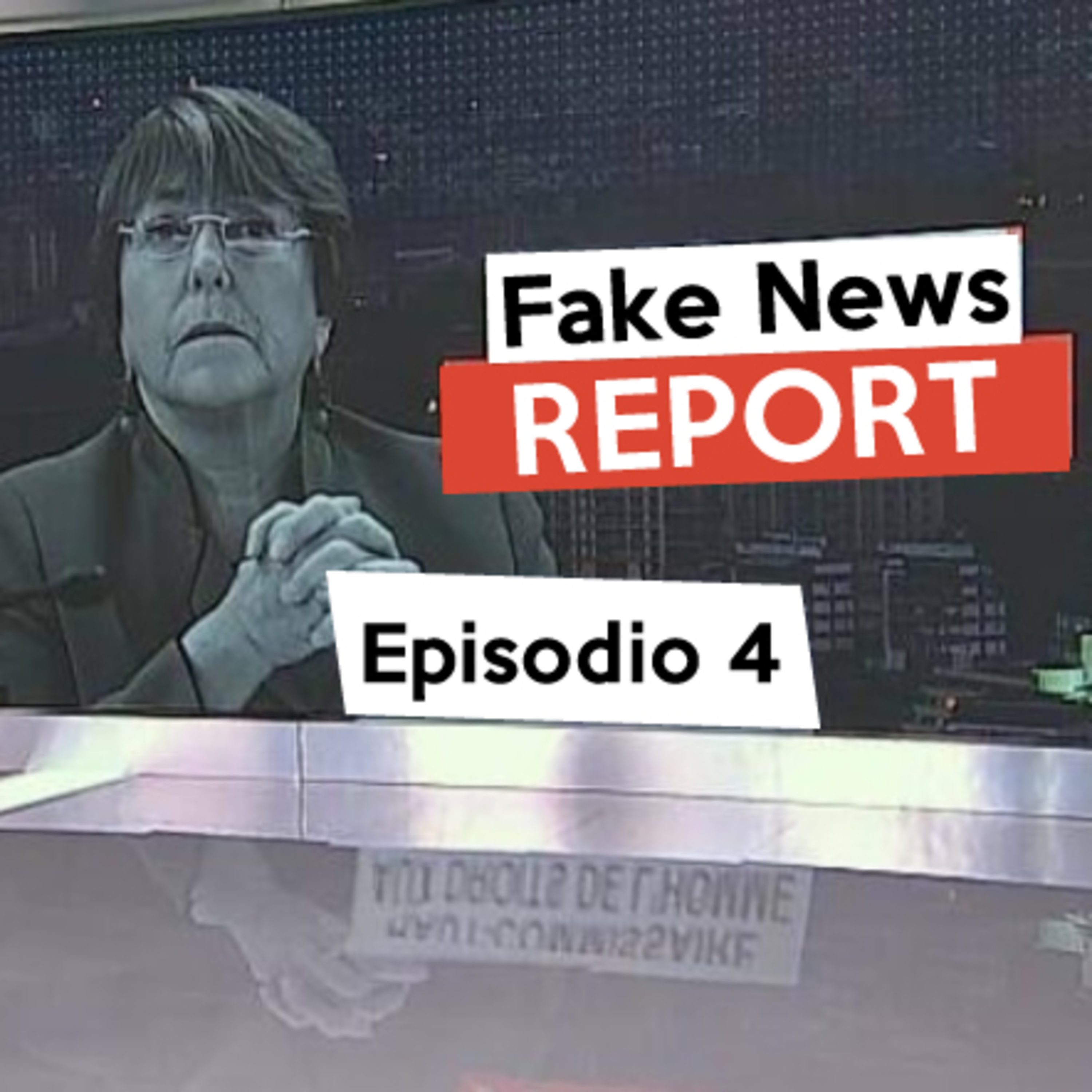 Fake News Report