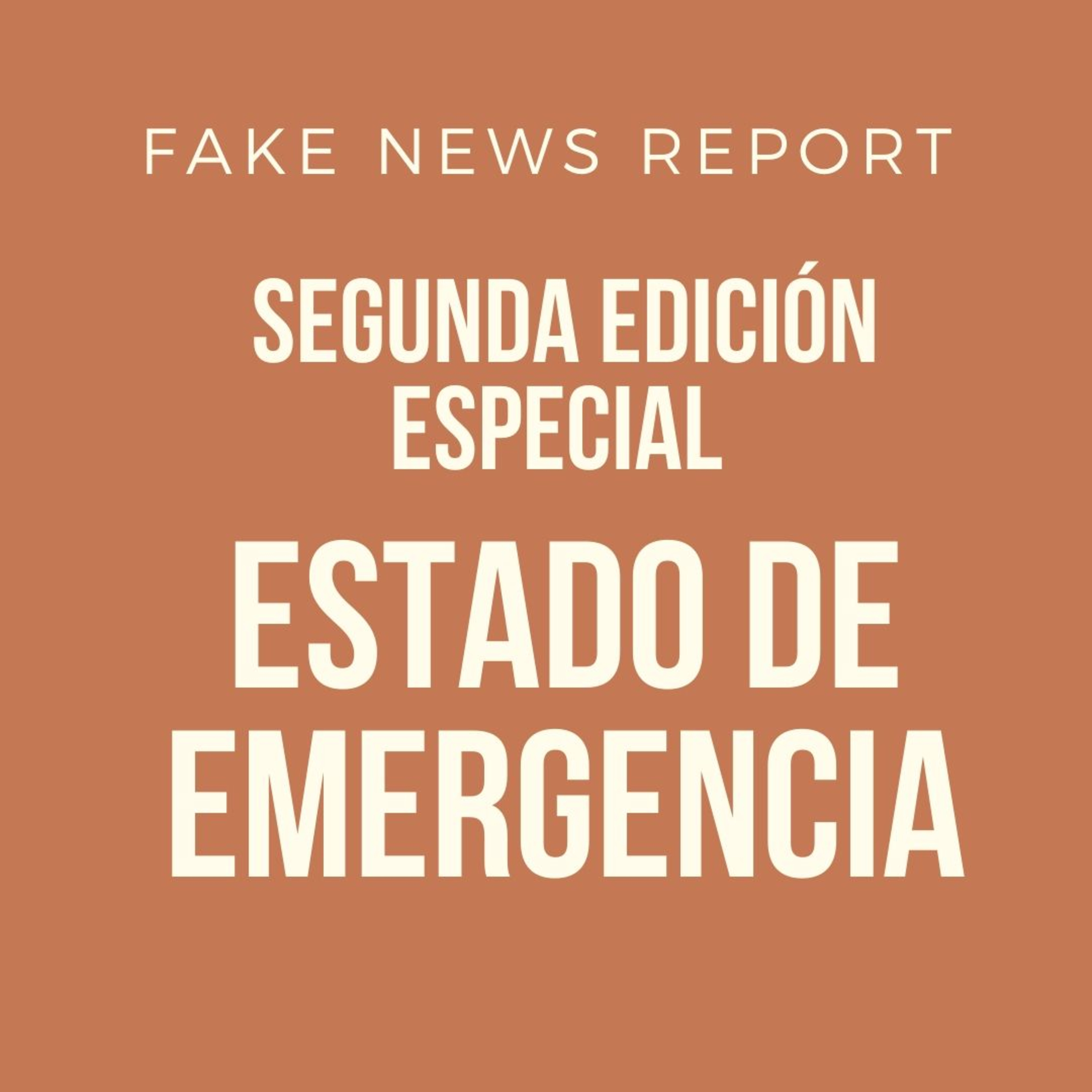 Fake News Report