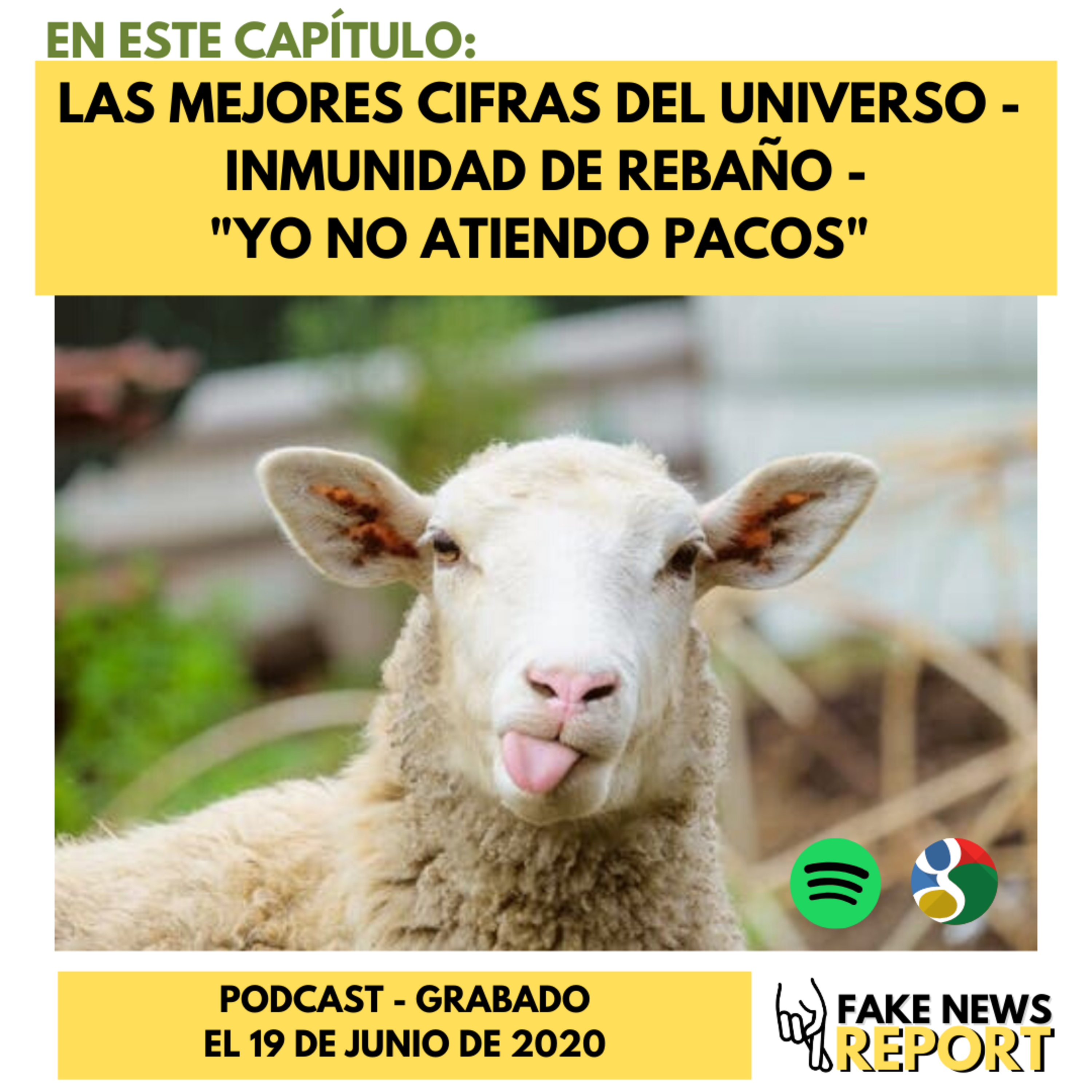 Fake News Report