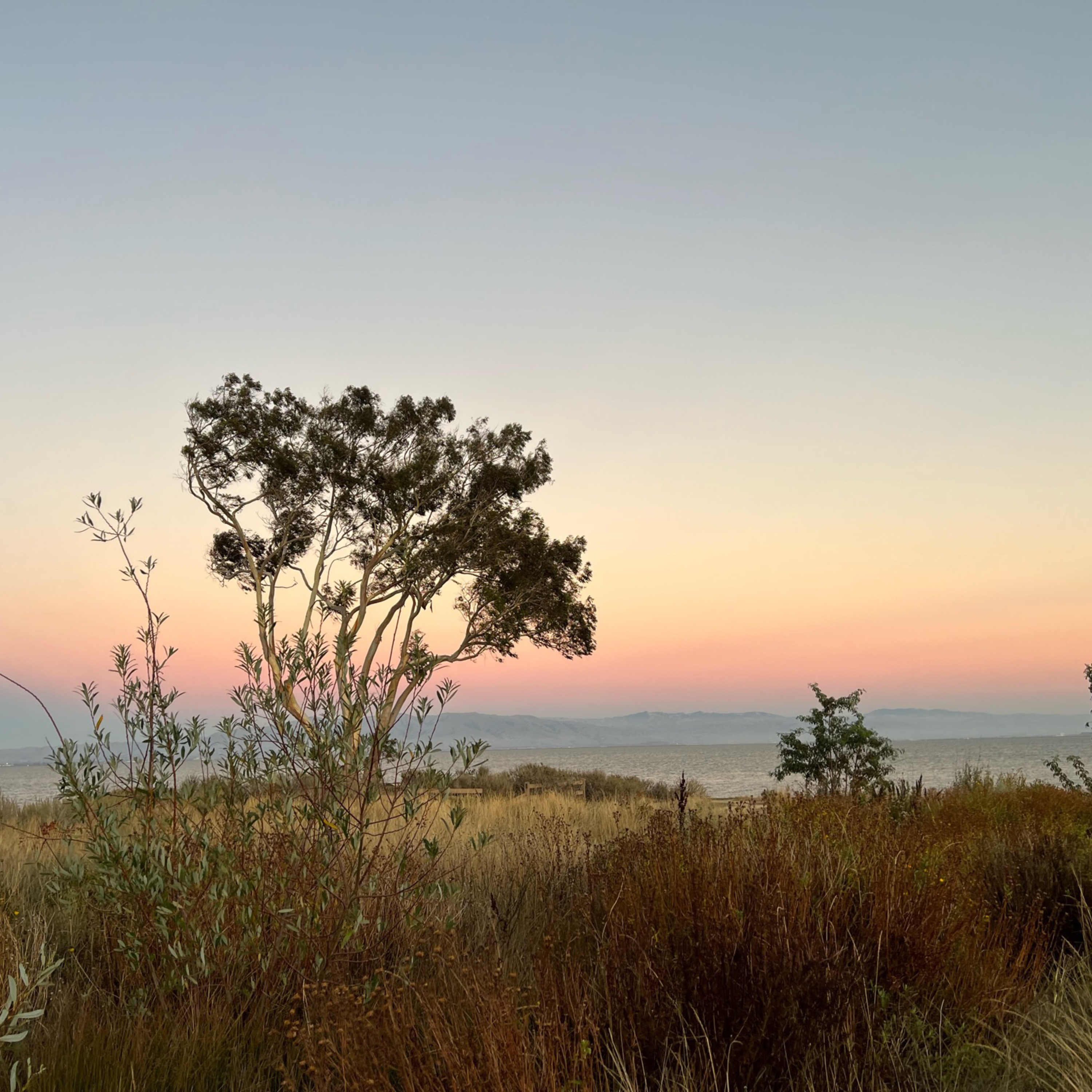 Crocker museum it’s art and history