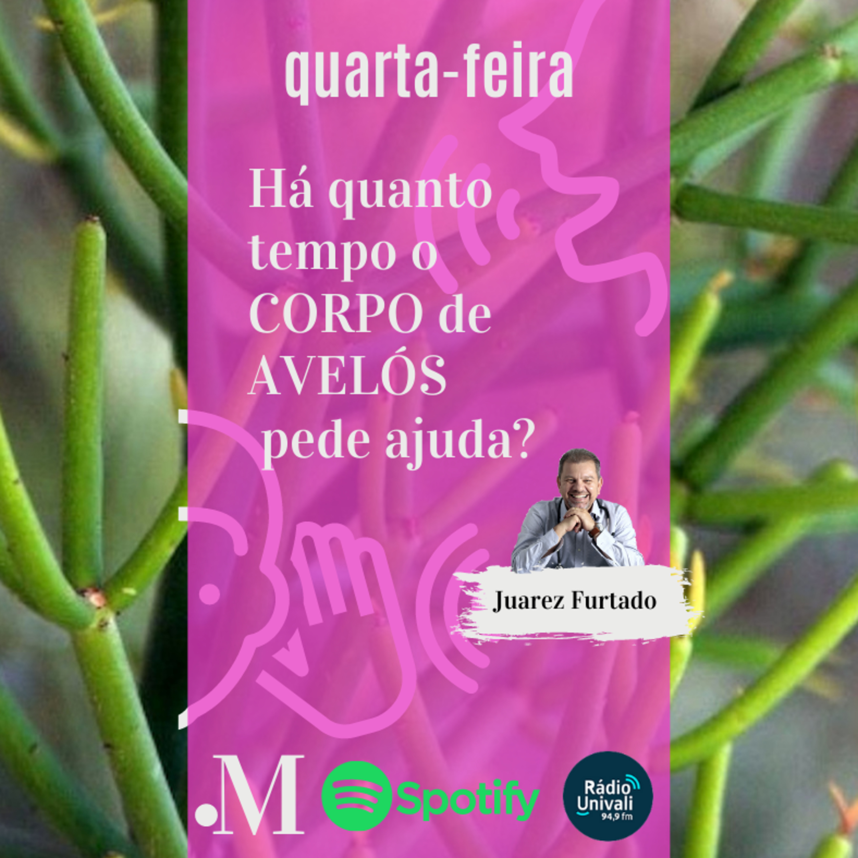 PontoM | O ponto em que a sua vida pode mudar para melhor