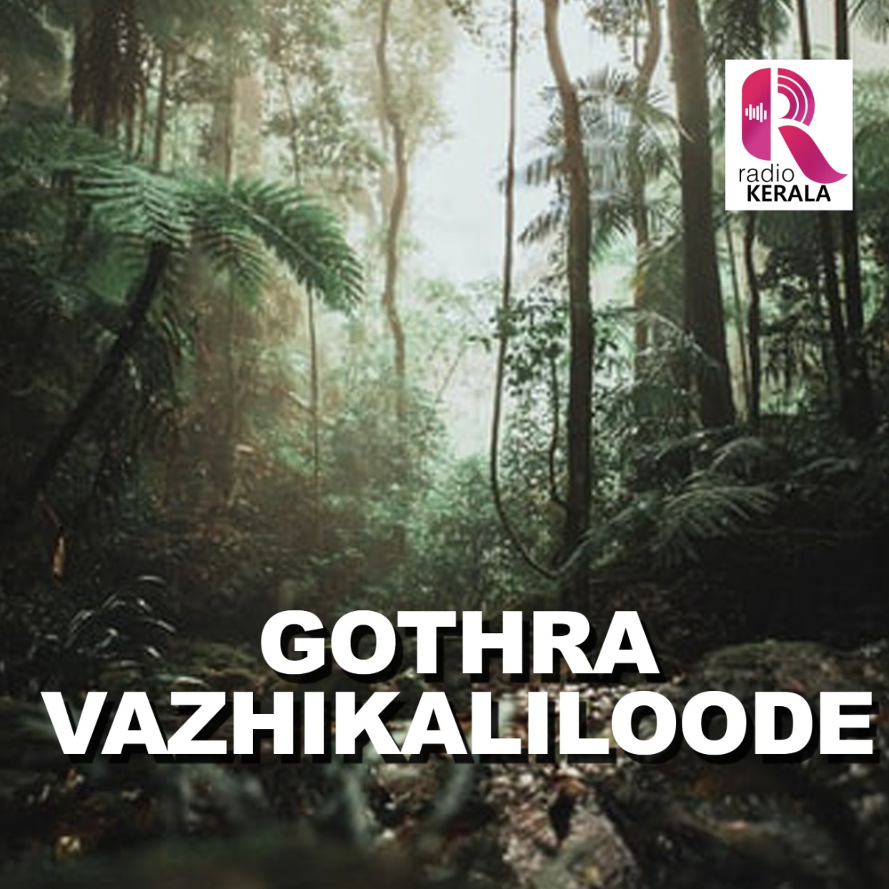 GOTHRAVAZHIKALILOODE 29-11-2021 episode artwork