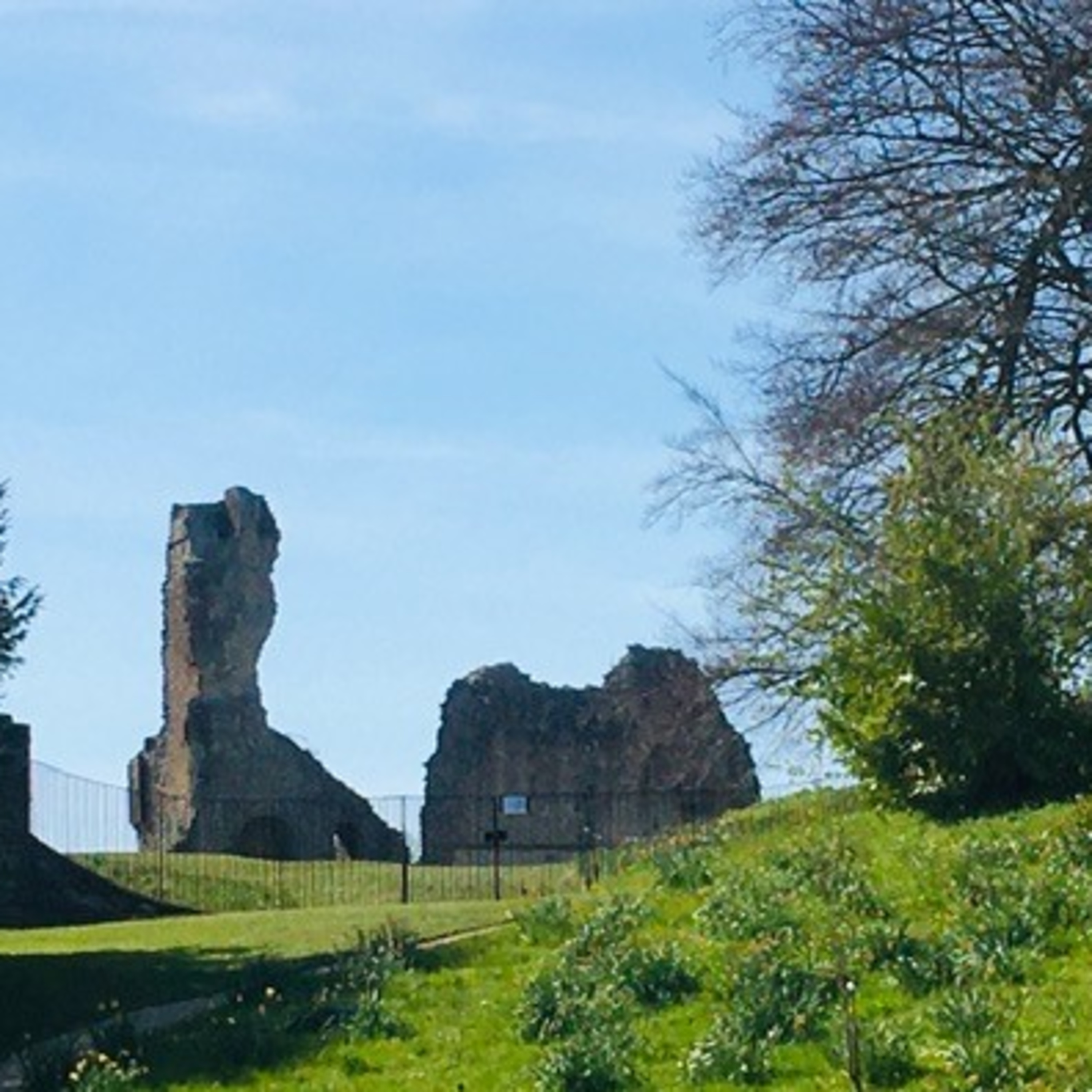 Sherborne Voices Podcast