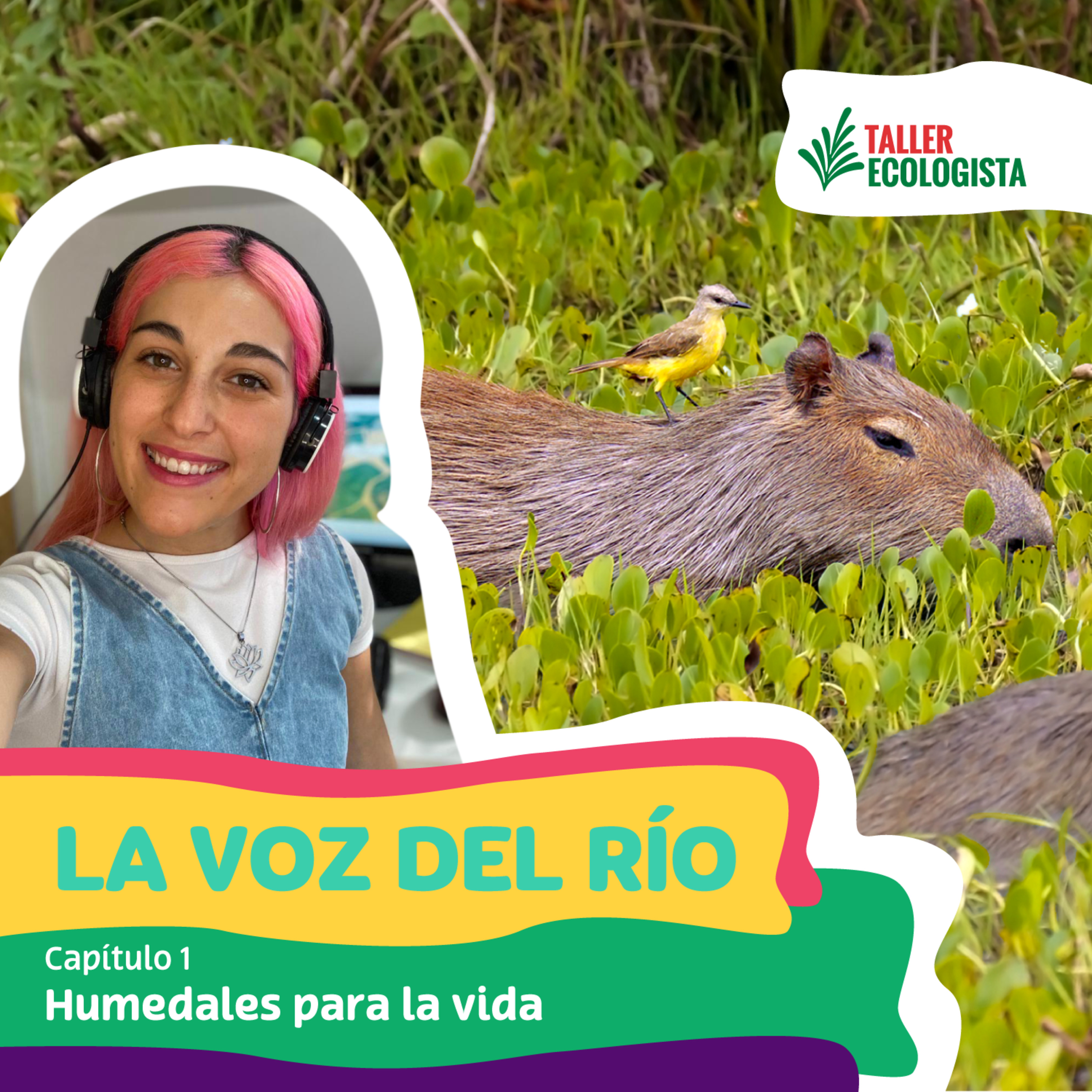 Cap. Nº 1 - Humedales para la vida episode artwork