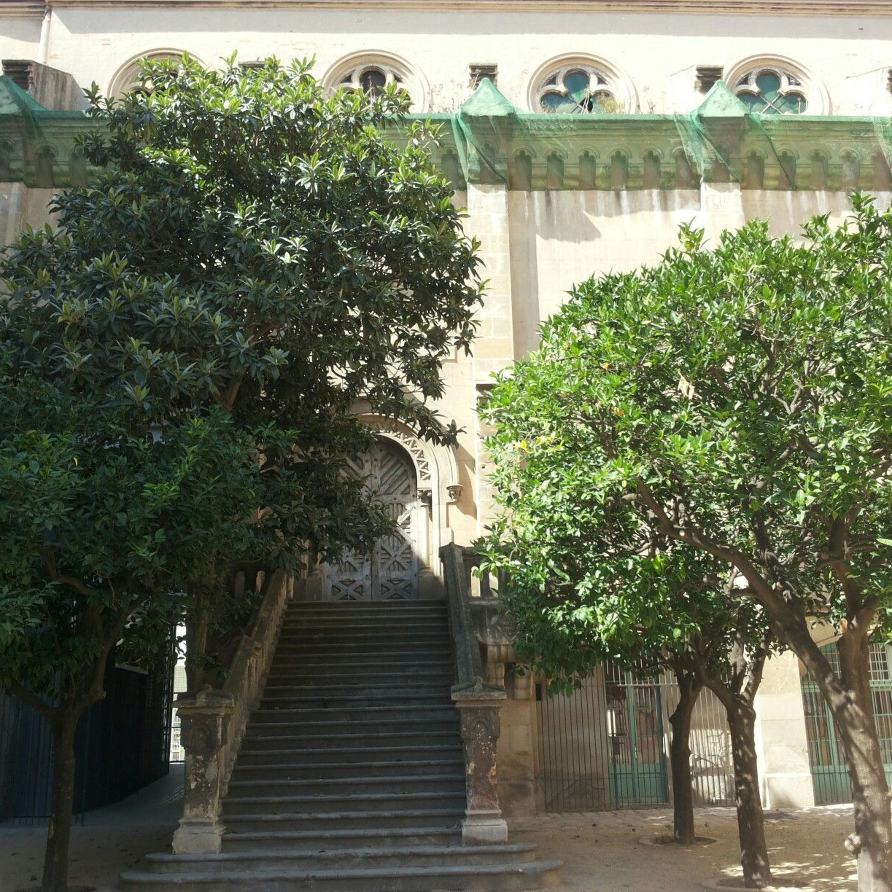 Arlequí