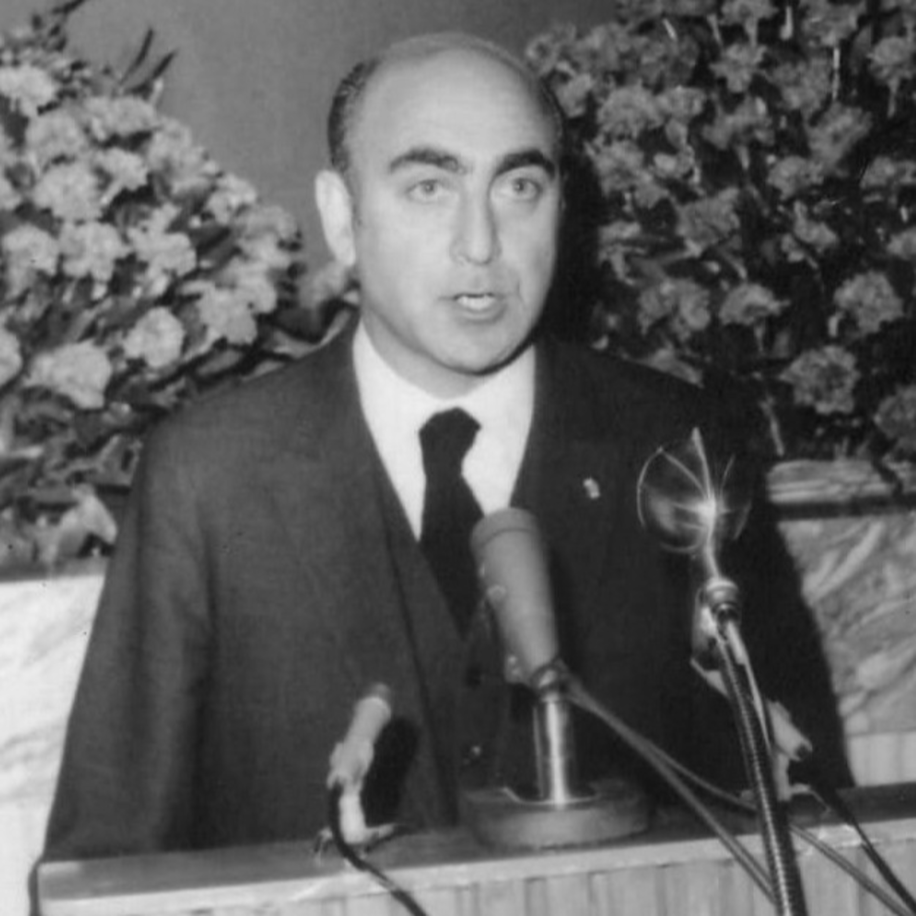 کاور Rahnema, Majid