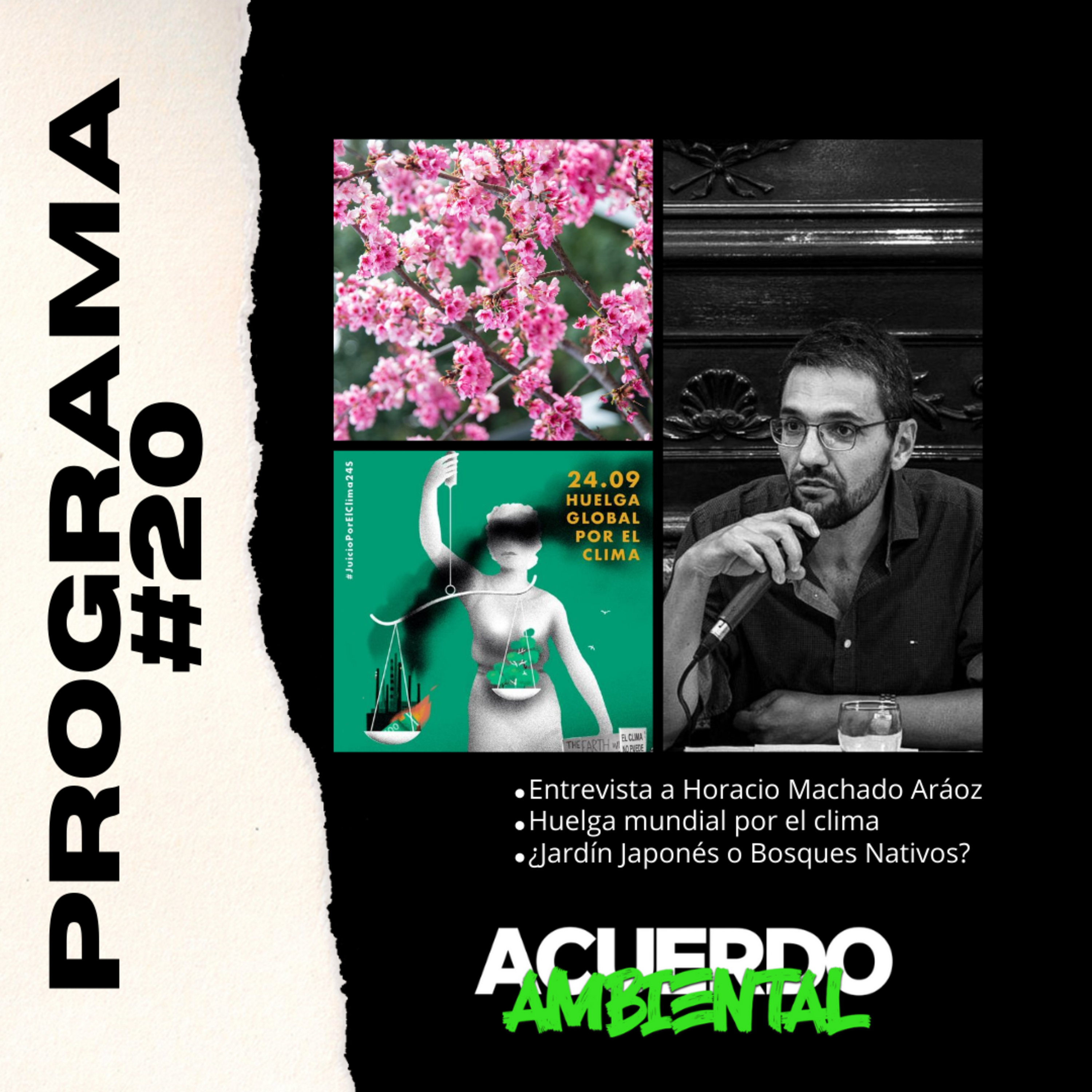 Acuerdo Ambiental