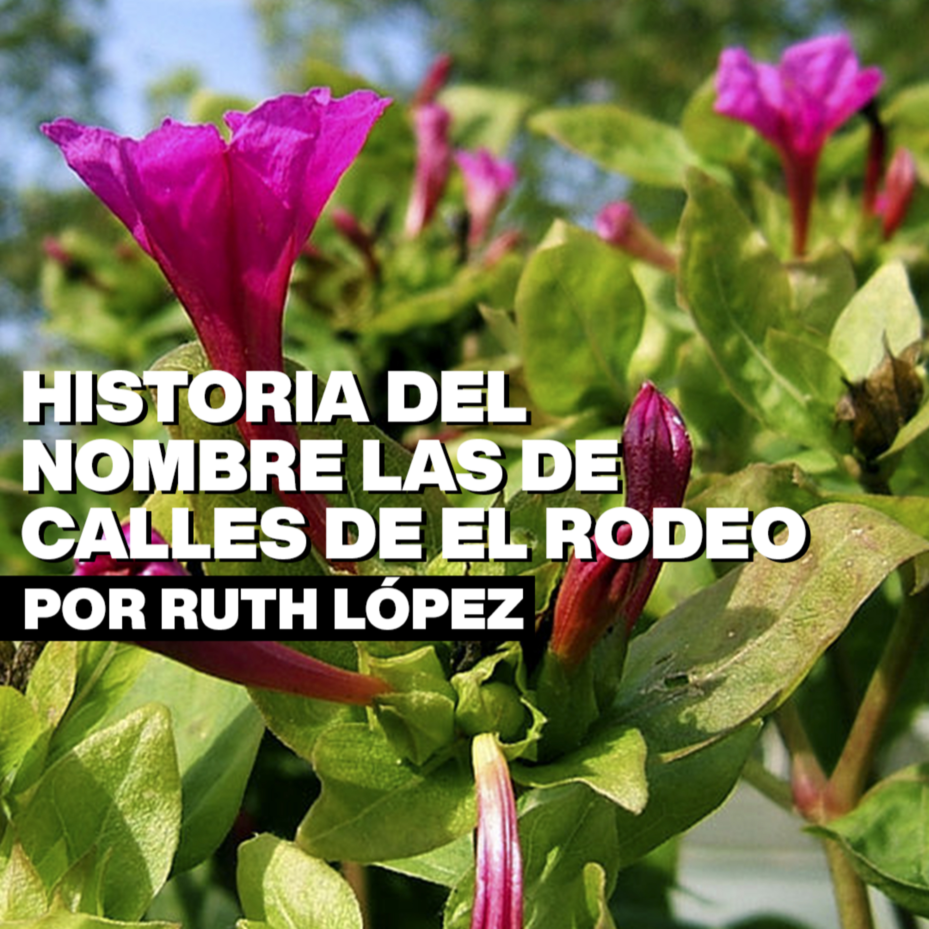 Acuerdo Ambiental