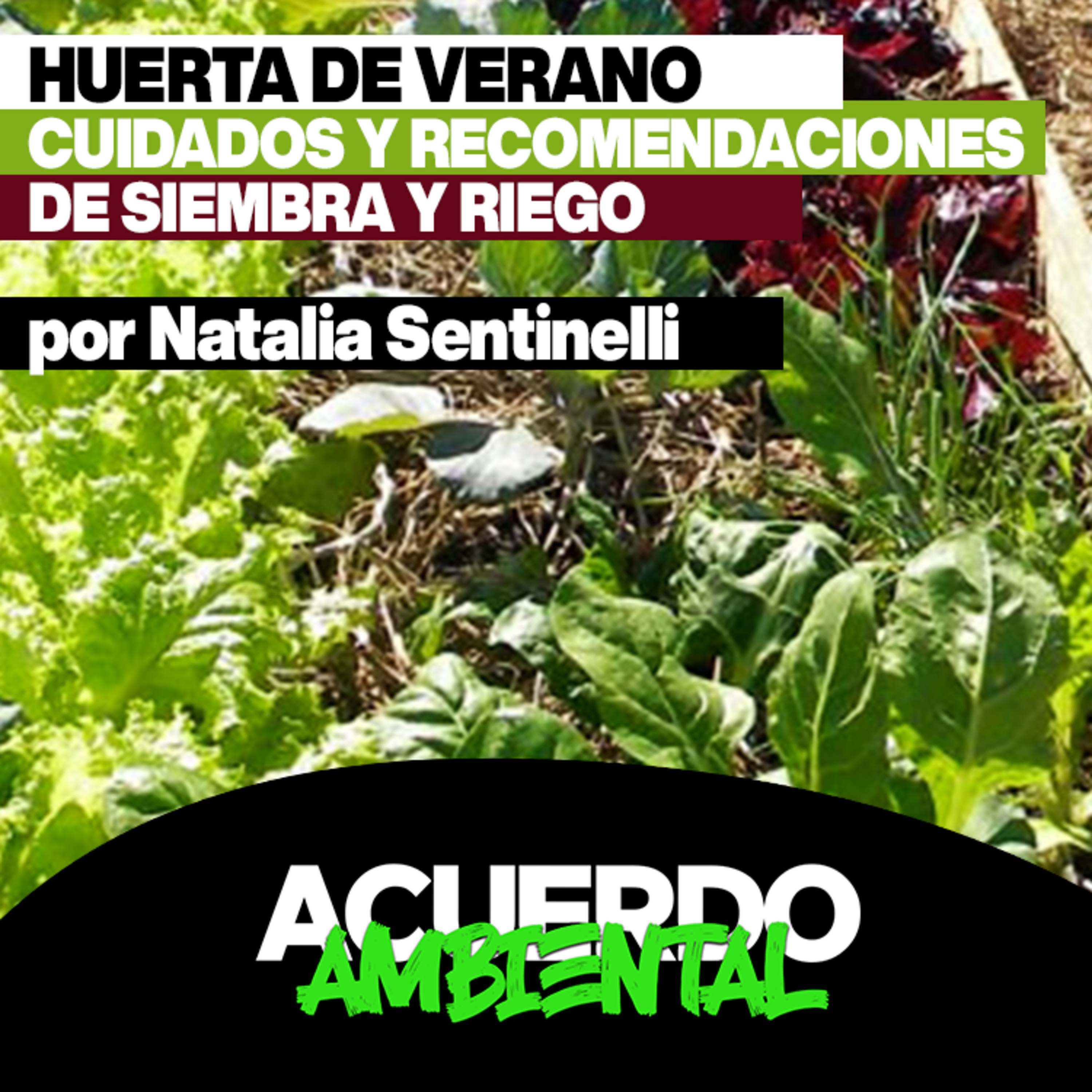 Acuerdo Ambiental