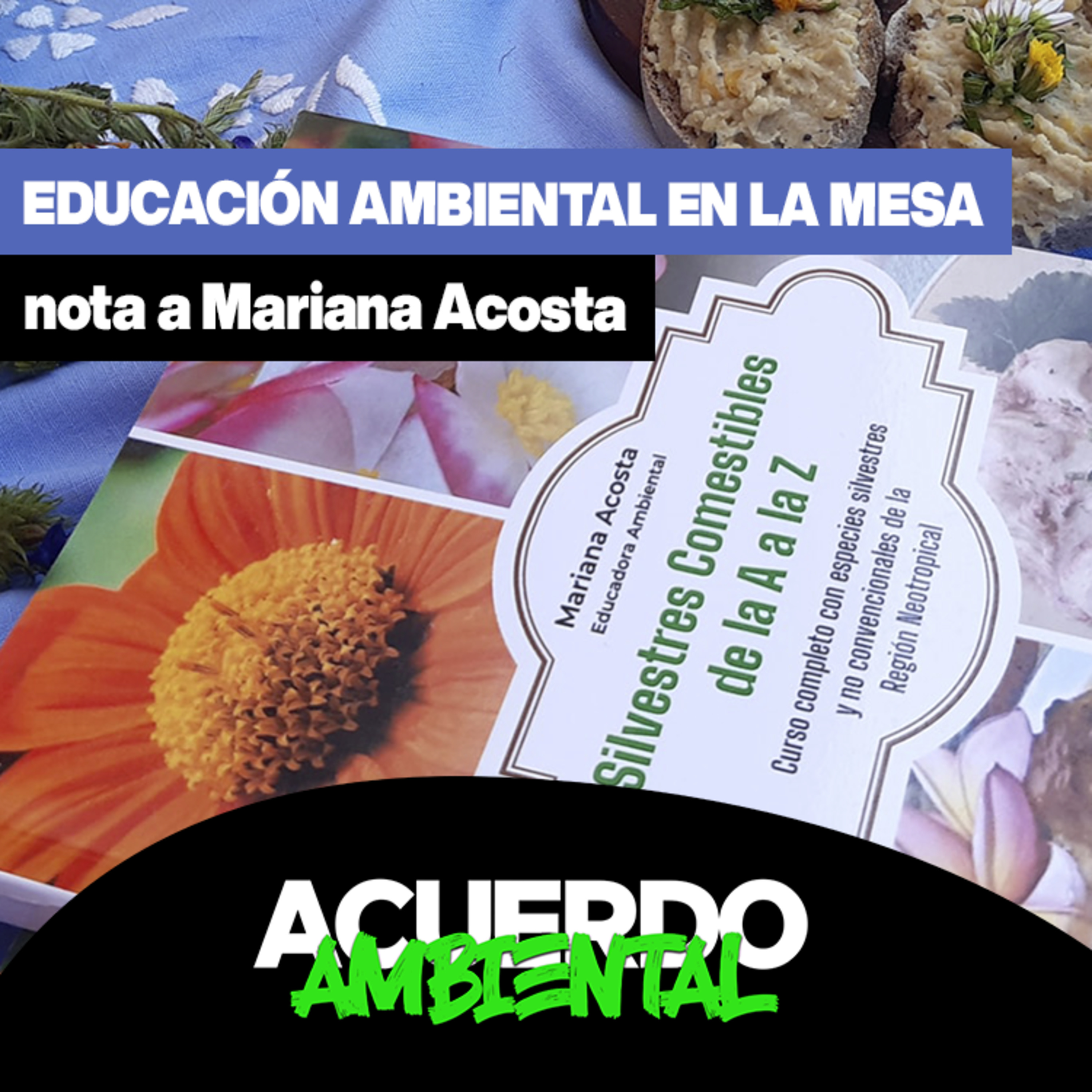Acuerdo Ambiental
