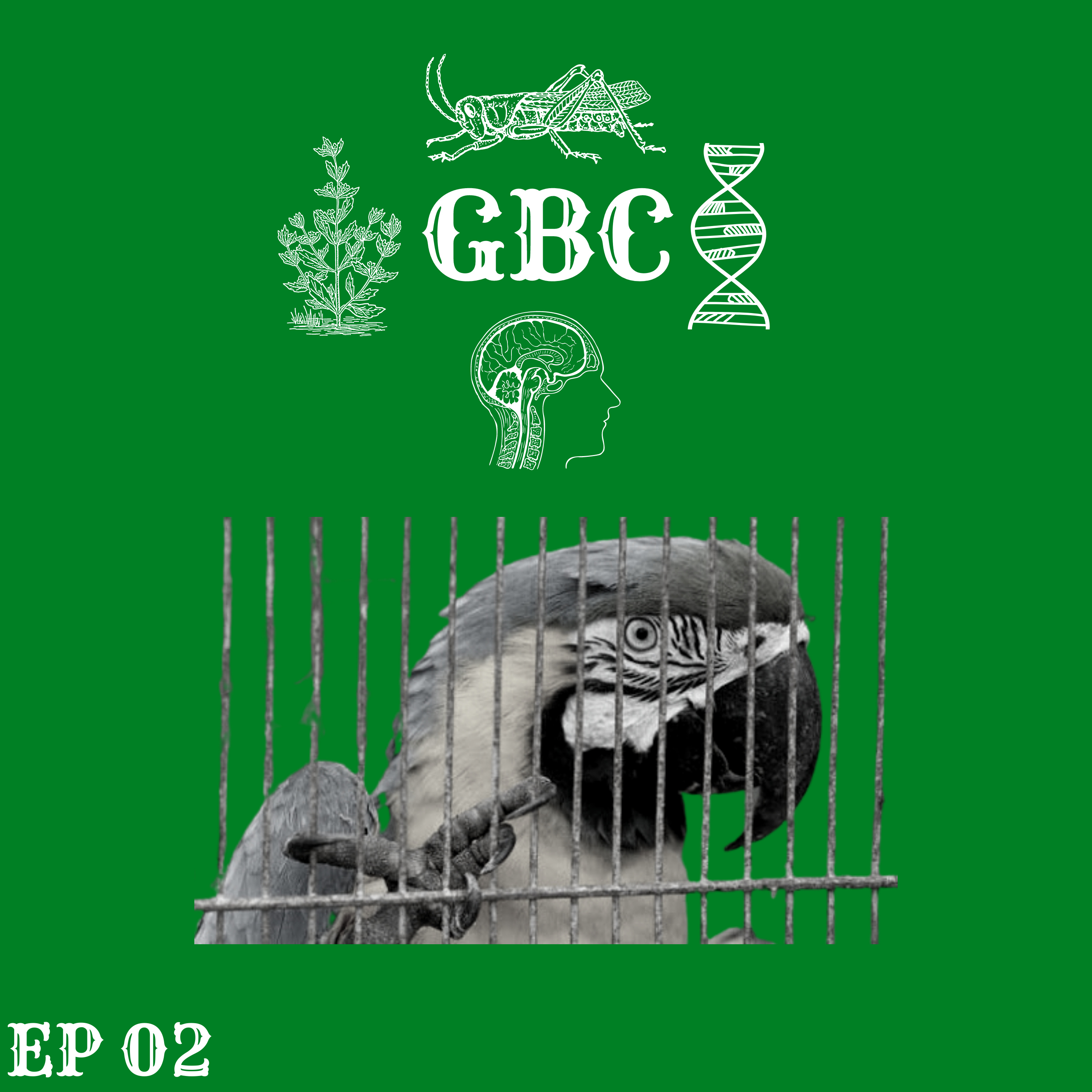 EP02: Deixa o bicho em paz, irmão!