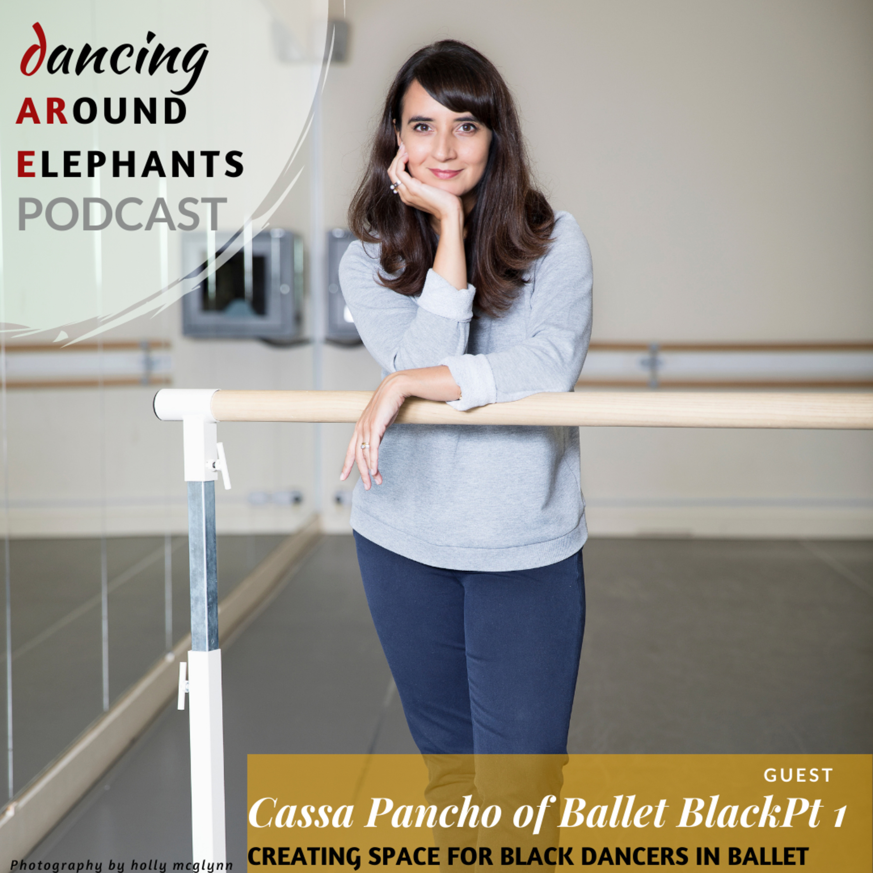 Dancing Around Elephants Podcast