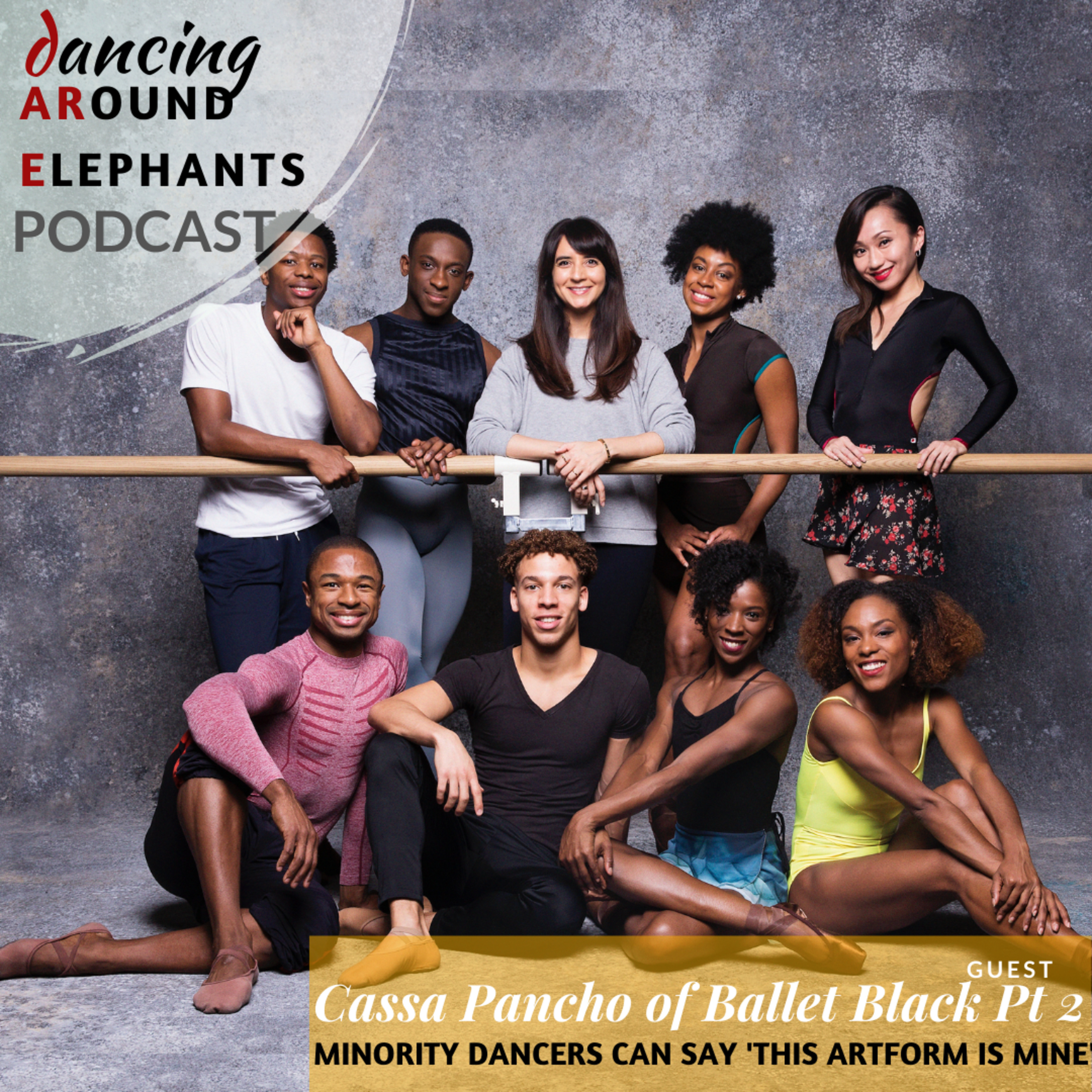 Dancing Around Elephants Podcast