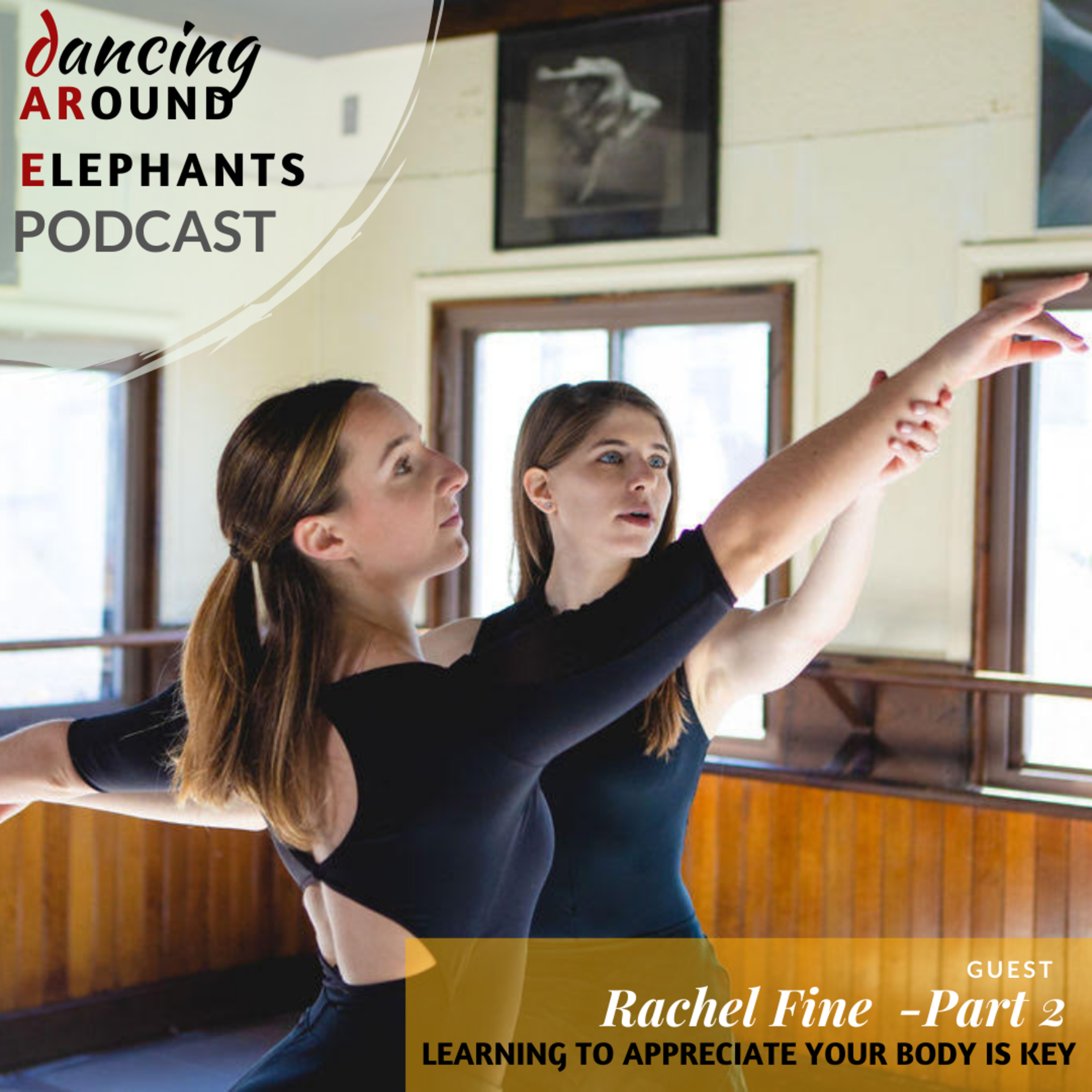 Dancing Around Elephants Podcast