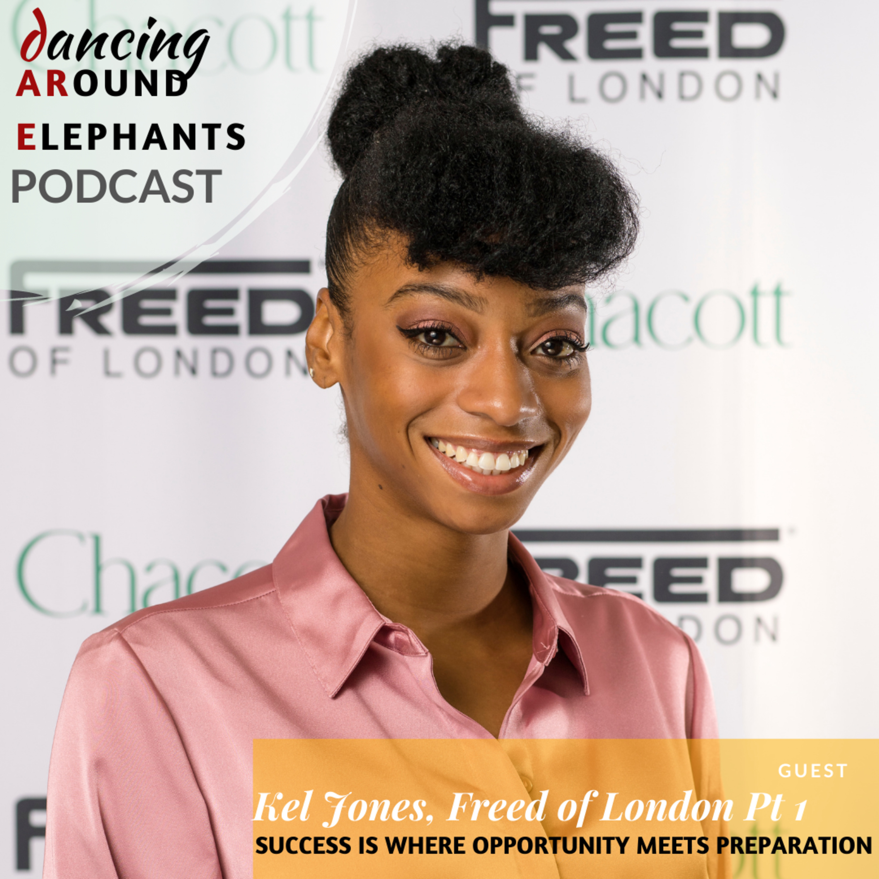 Dancing Around Elephants Podcast