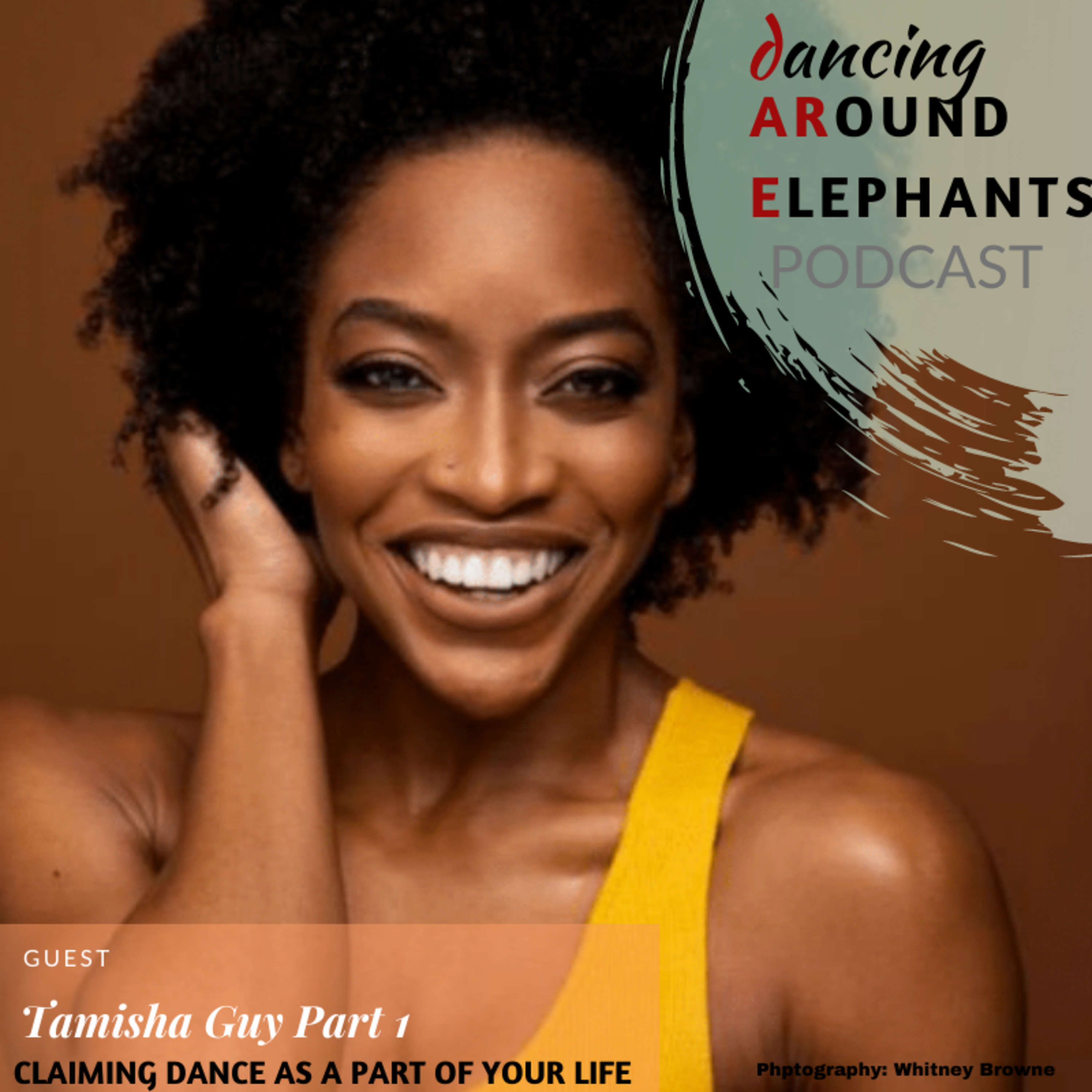 Dancing Around Elephants Podcast