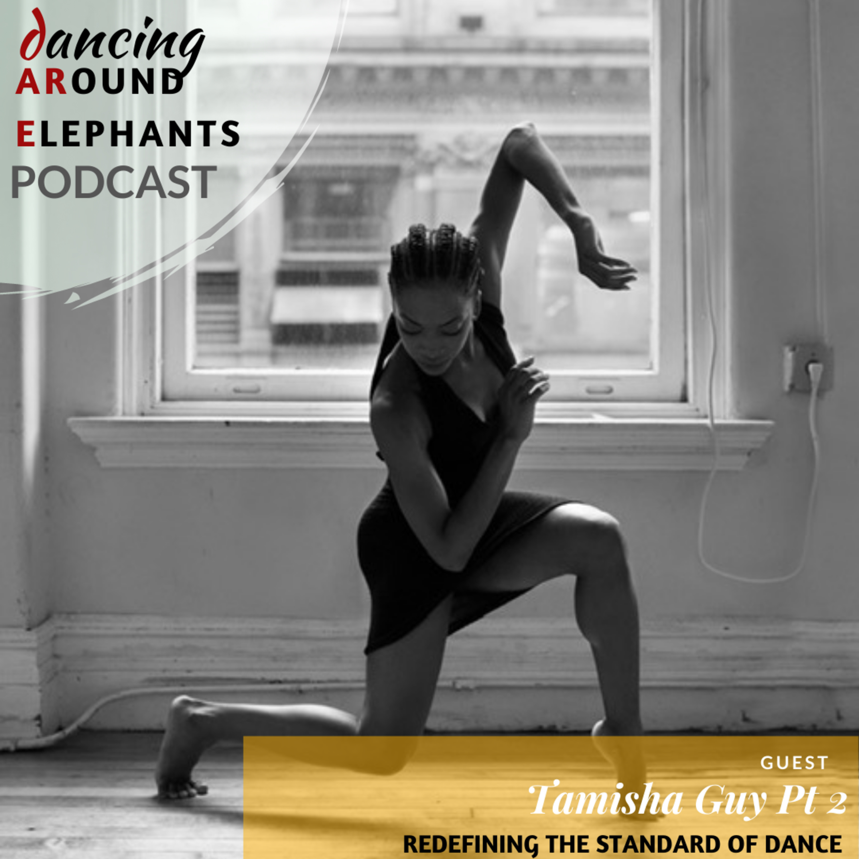 Dancing Around Elephants Podcast