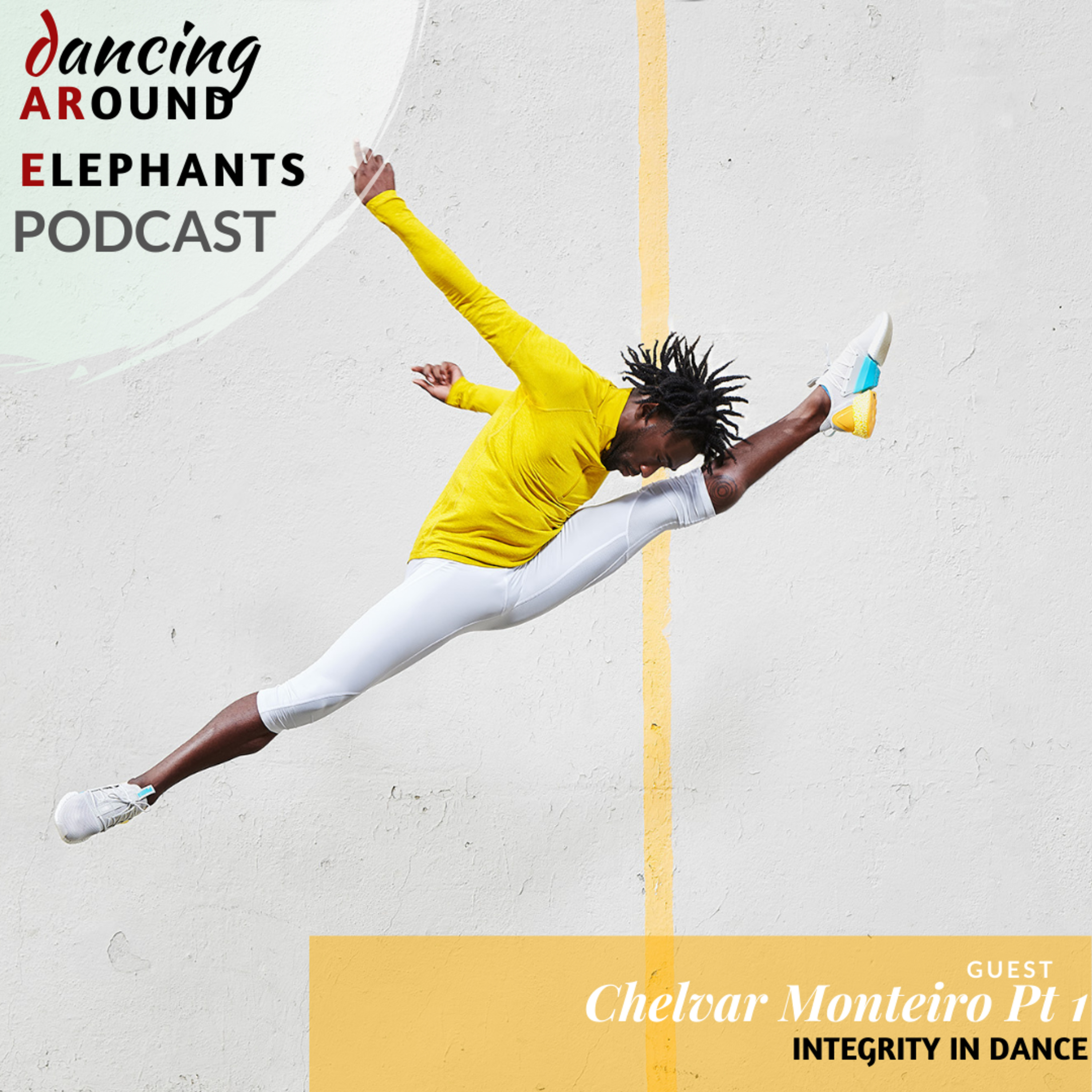 Dancing Around Elephants Podcast