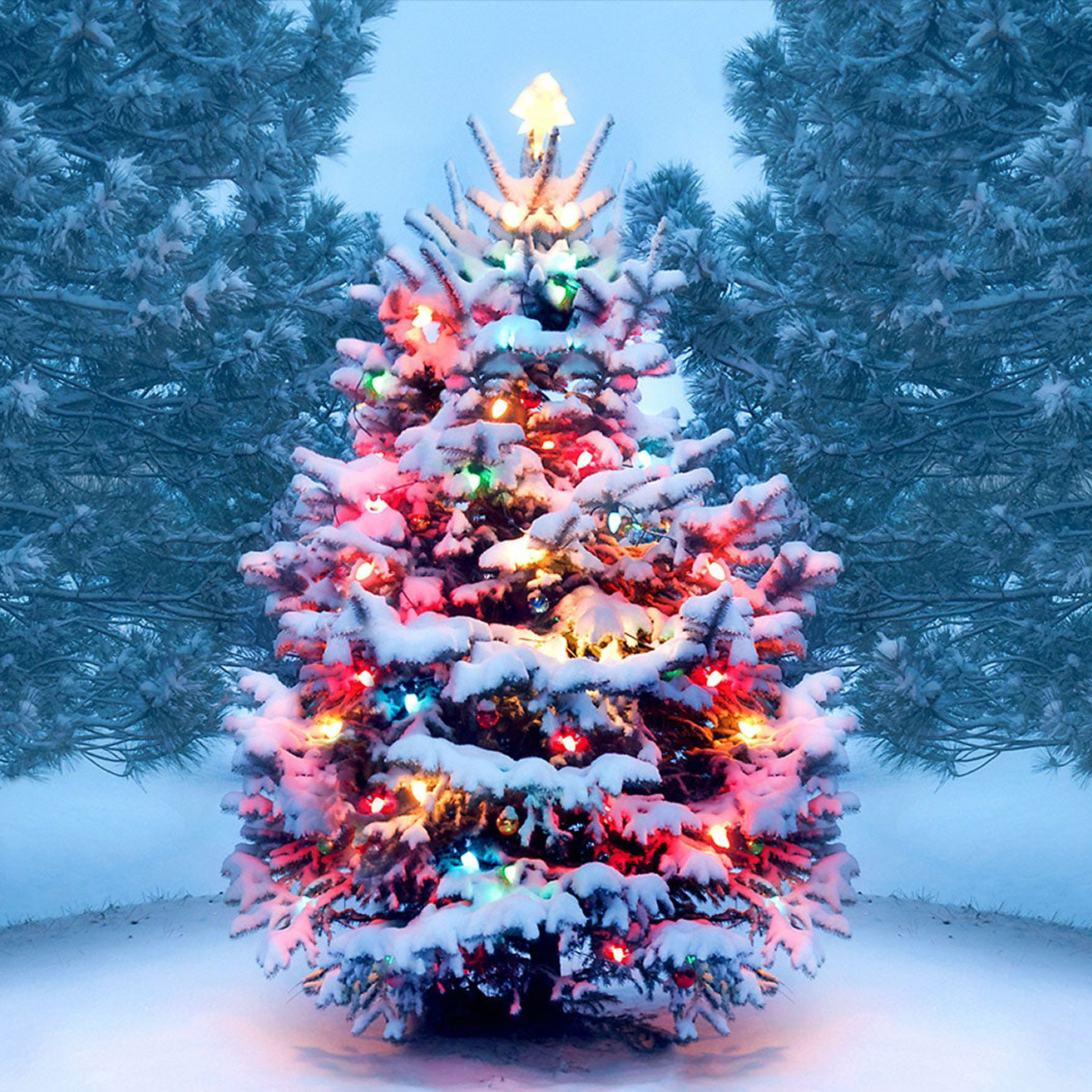 S3 E7 - PODMAS! episode artwork