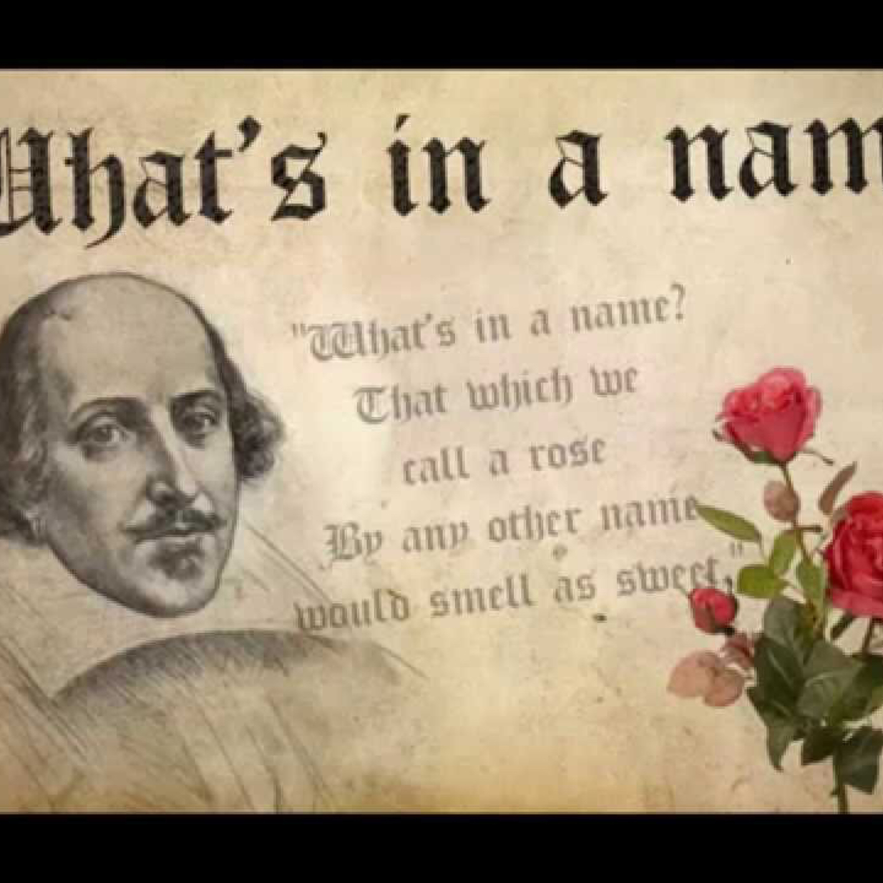 S3 E12 - where do new names come from? episode artwork