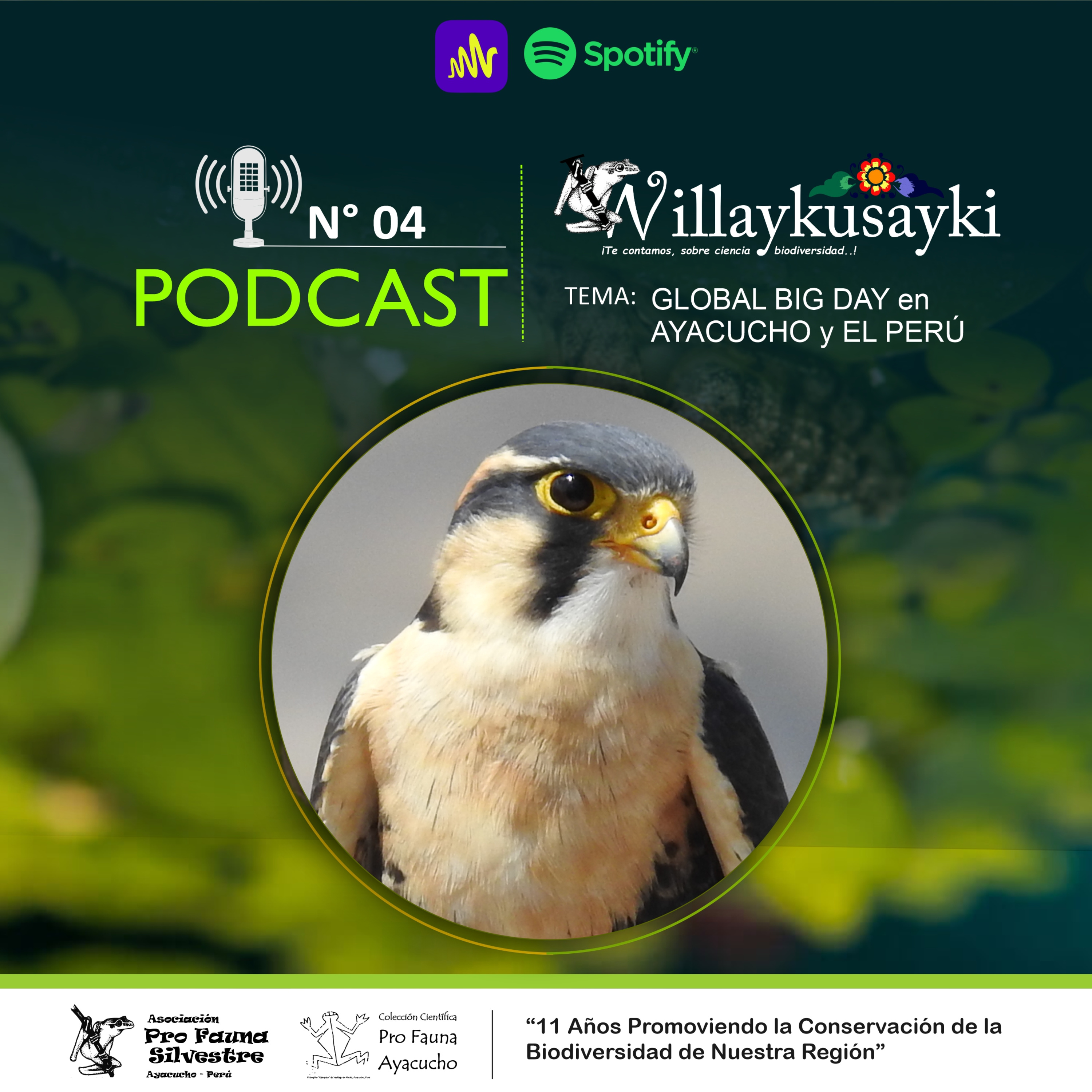 Willaykusayki