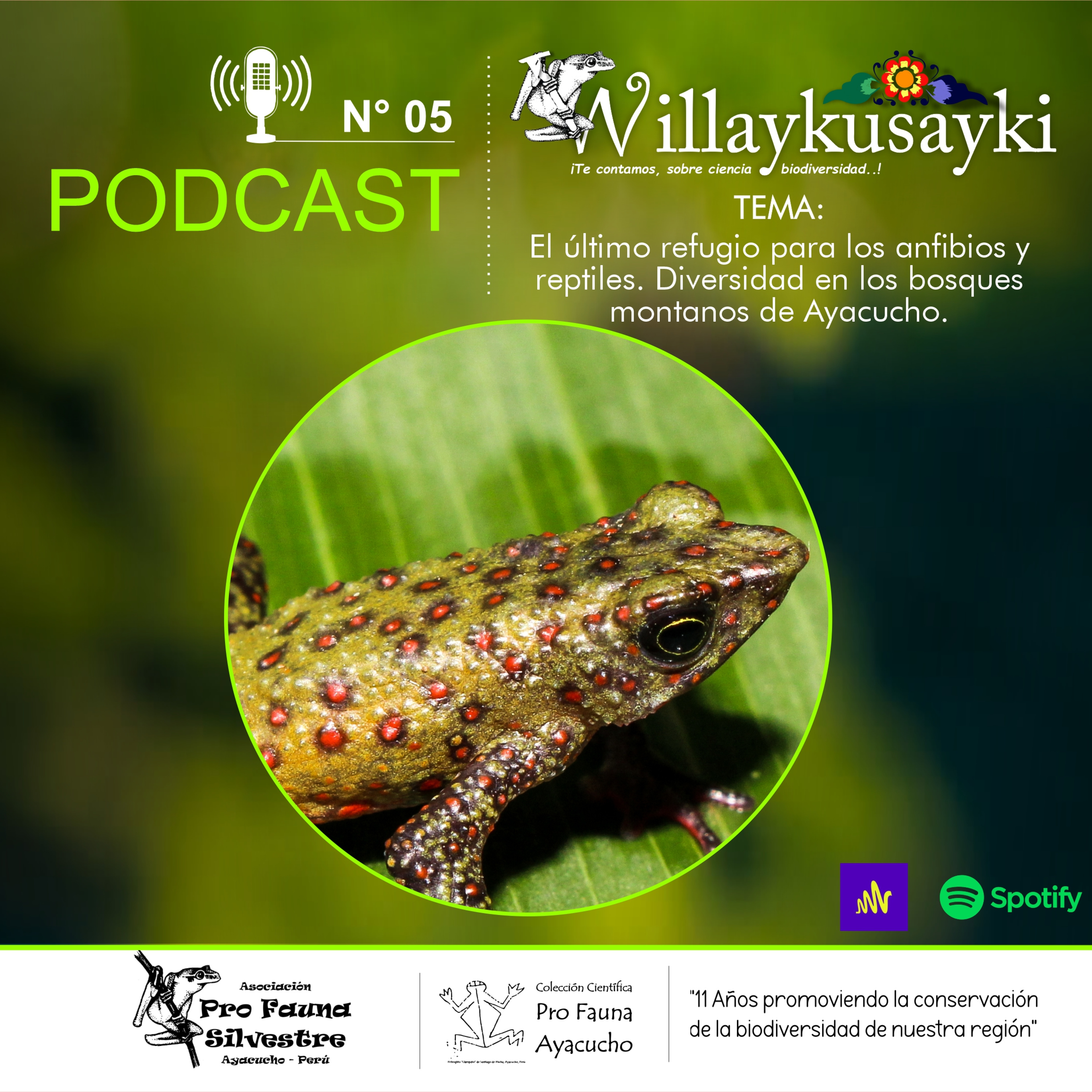 Willaykusayki