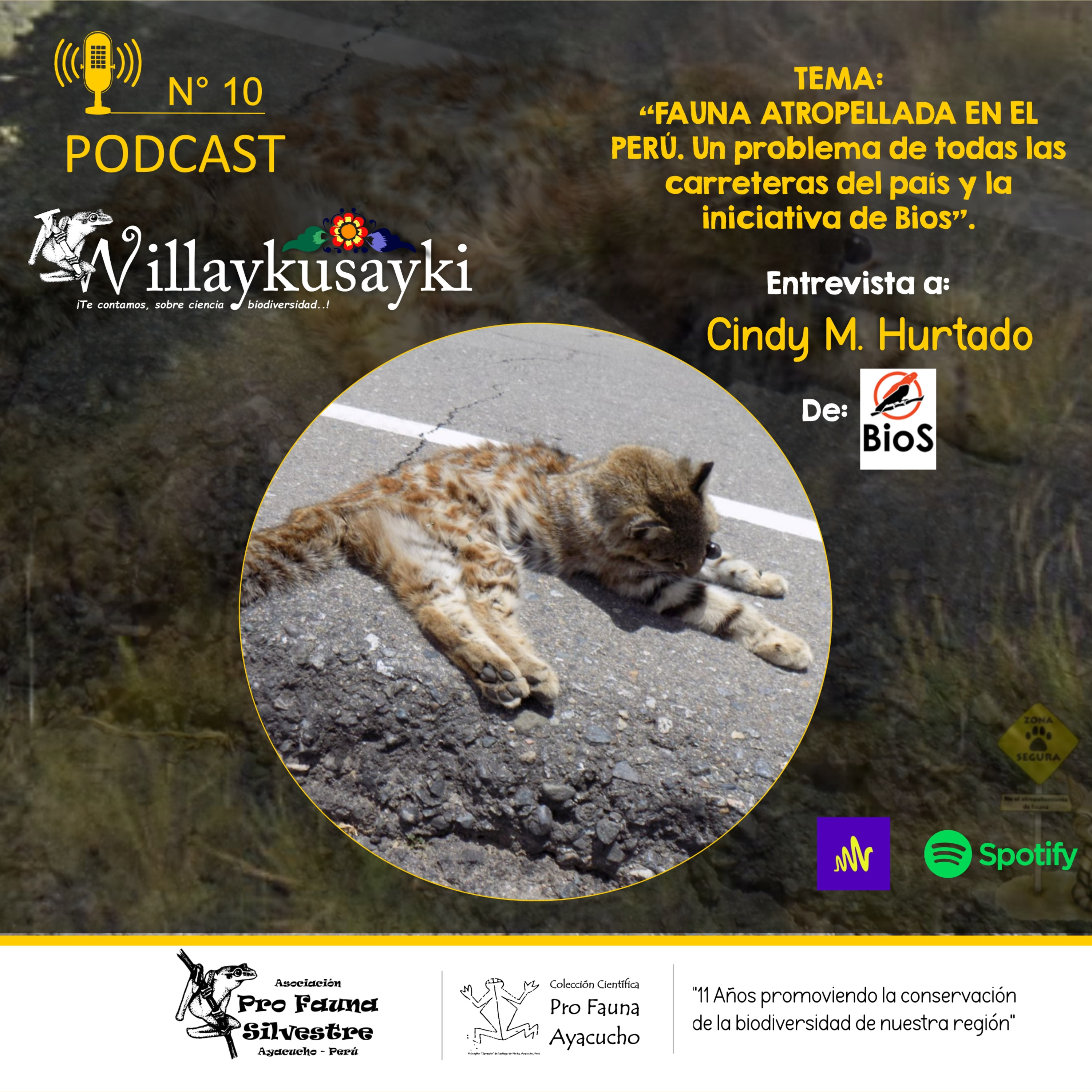 Willaykusayki
