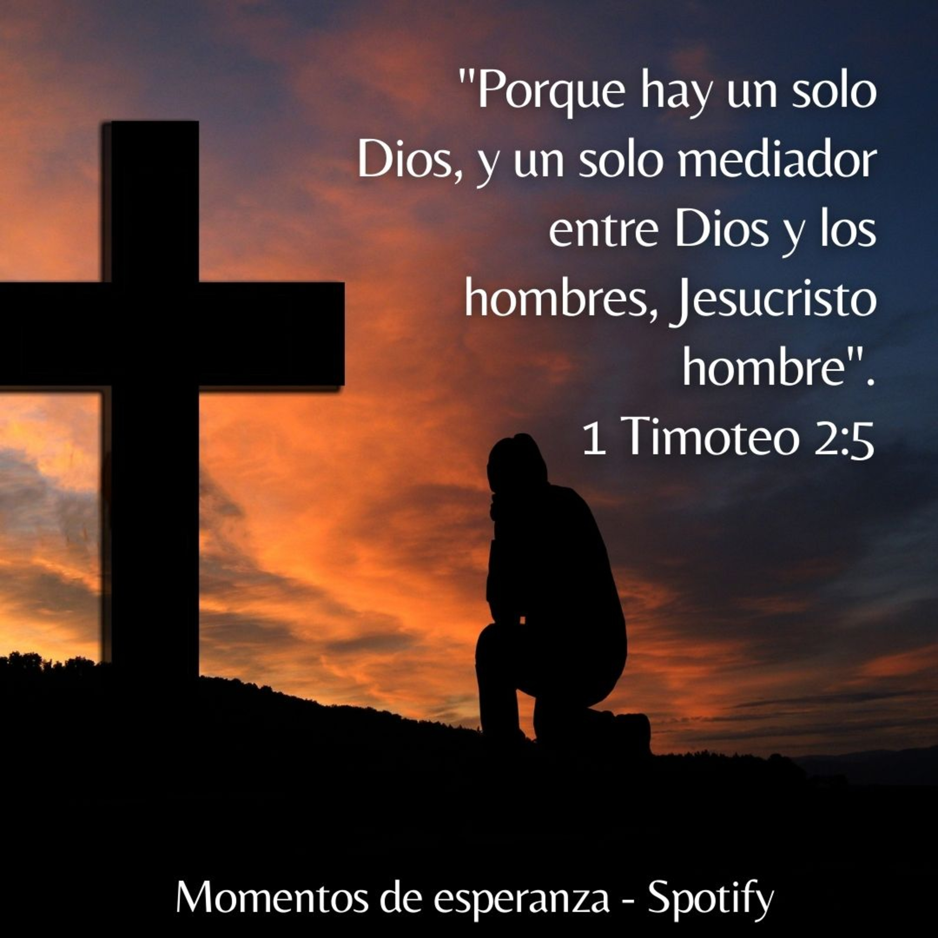 1 Timoteo 2 - 6 noviembre 21 episode artwork
