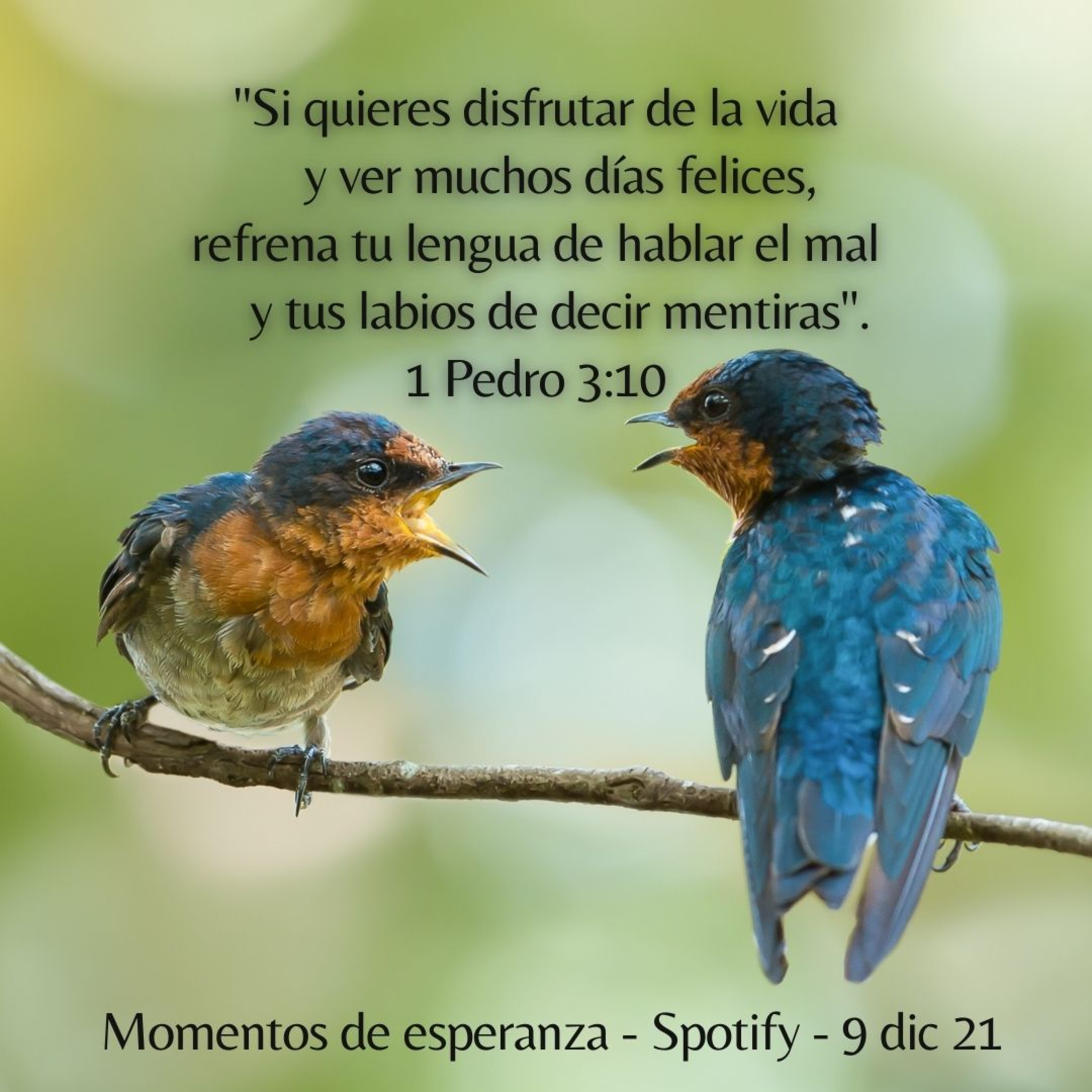 1 Pedro 3 - 9 diciembre 21 episode artwork