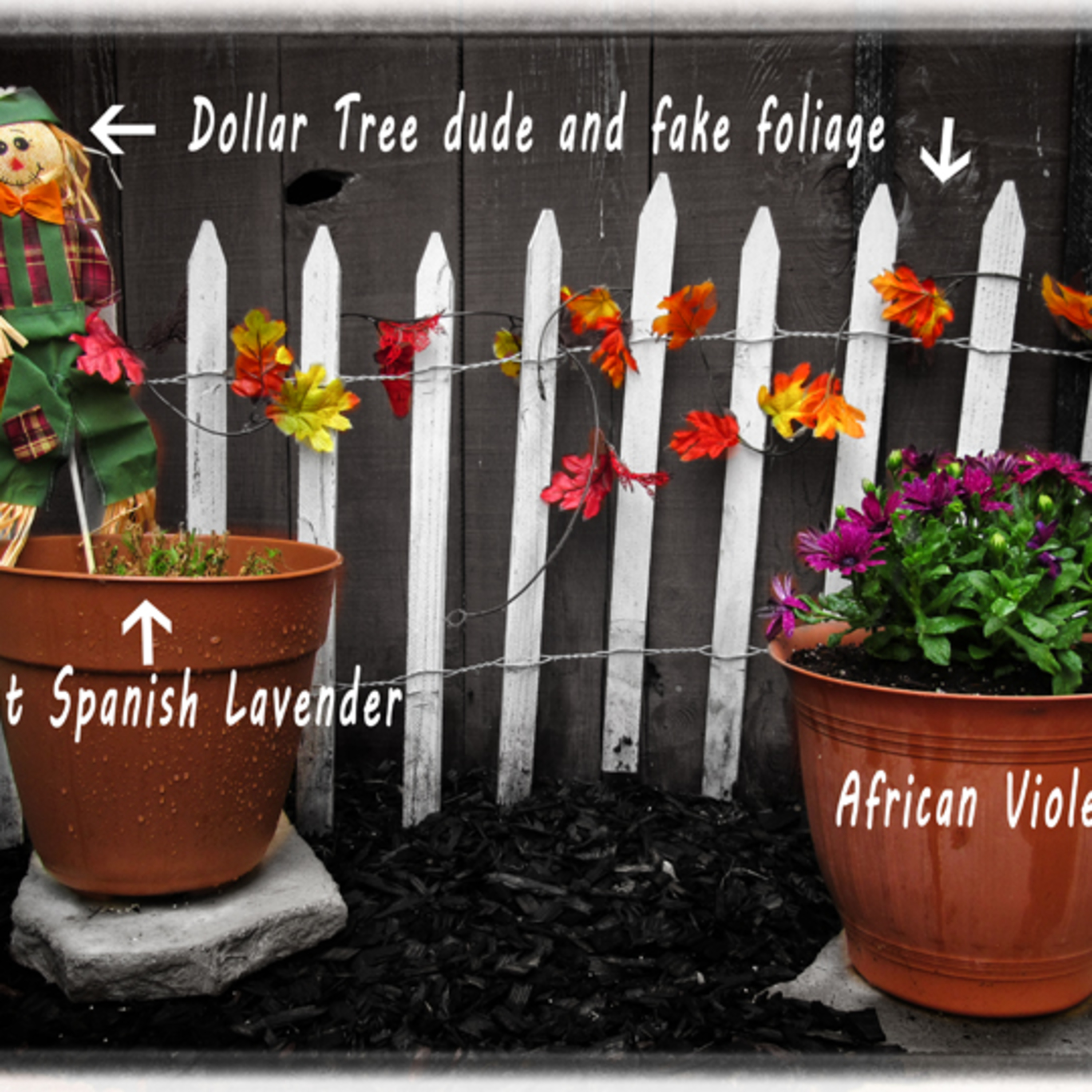 Fall Garden Update episode artwork