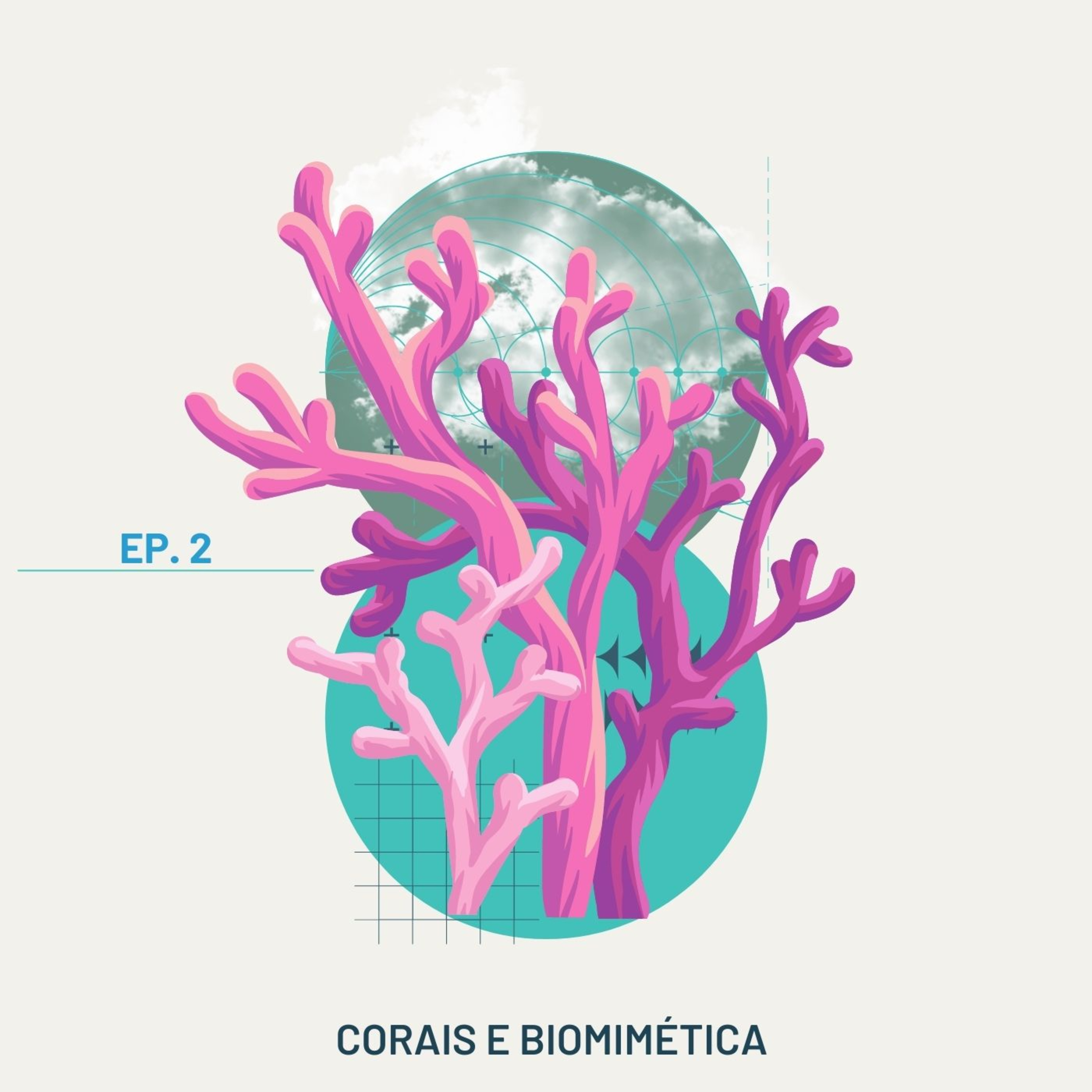 Corais e biomimética - Oceanos de Futuro - Ep. II episode artwork