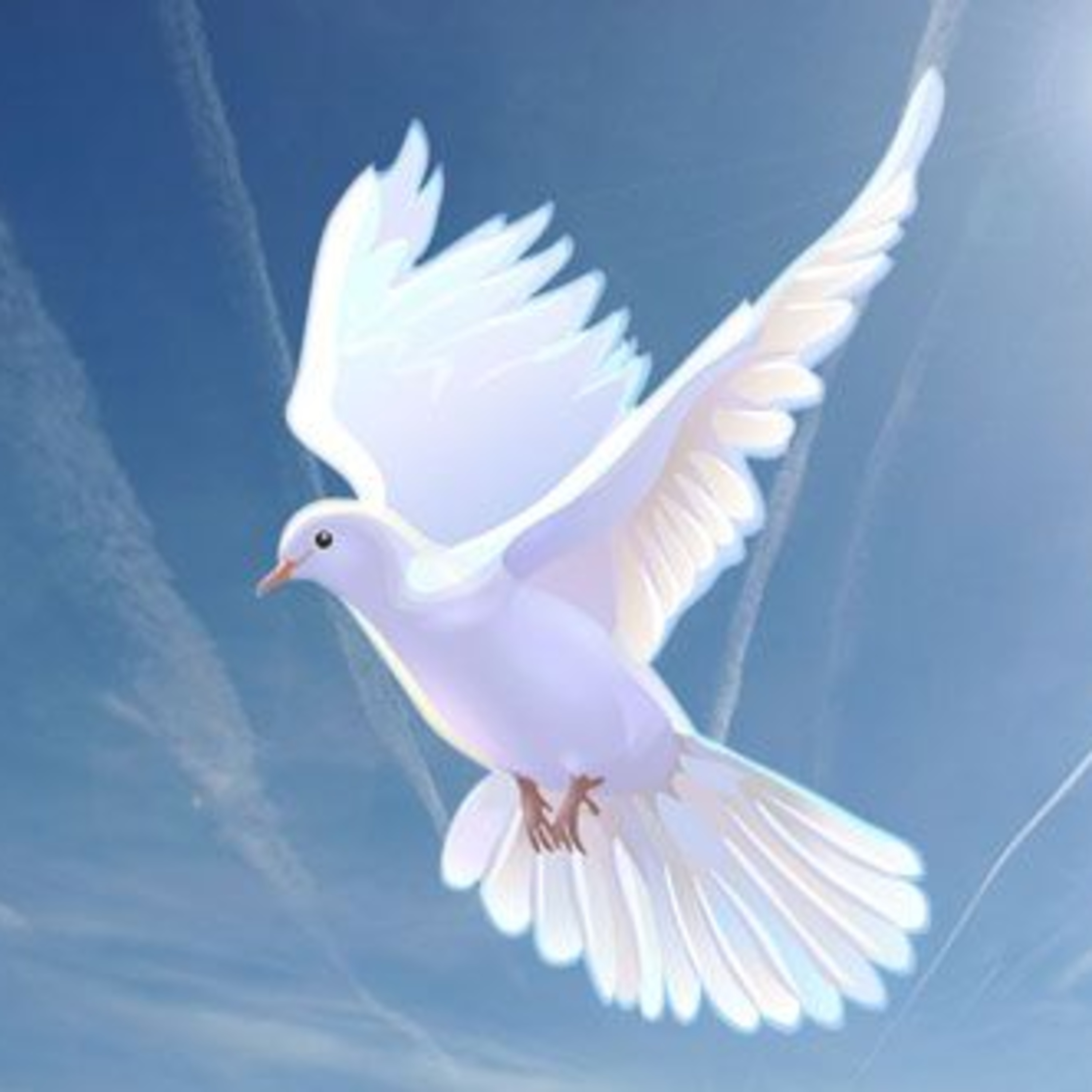 Spiritual Awakening & Channeling | Przebudzenie w Nowej Ziemi QHET Polska