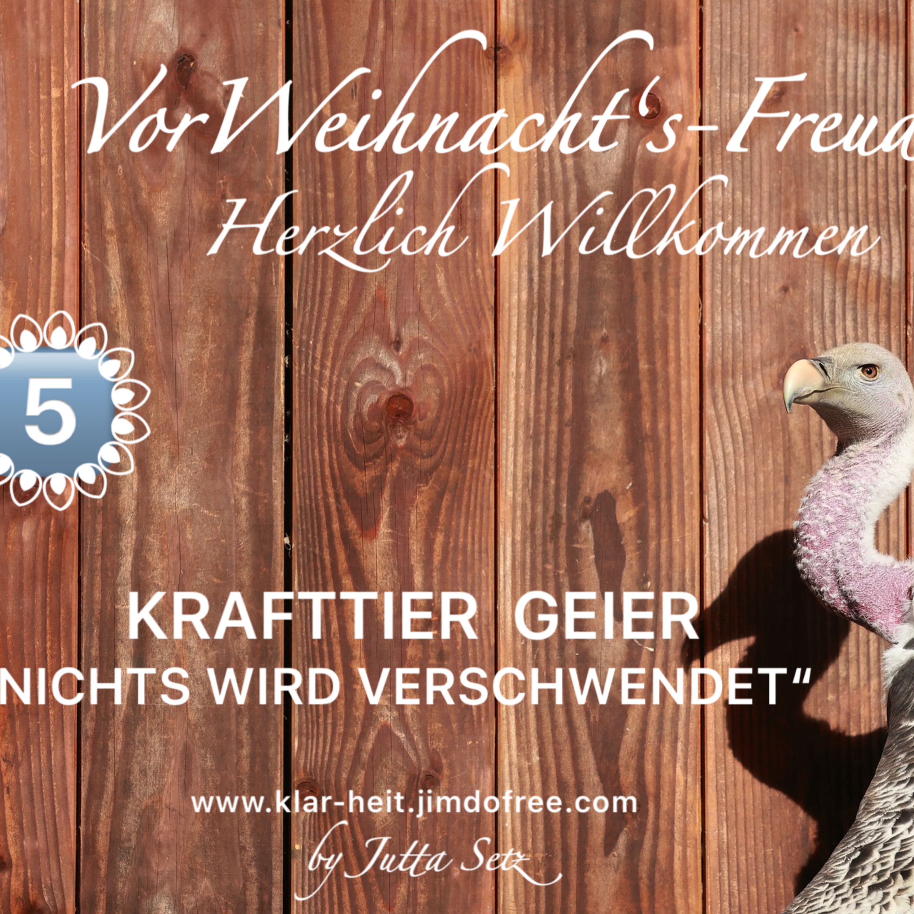 KRAFTTIER GEIER episode artwork