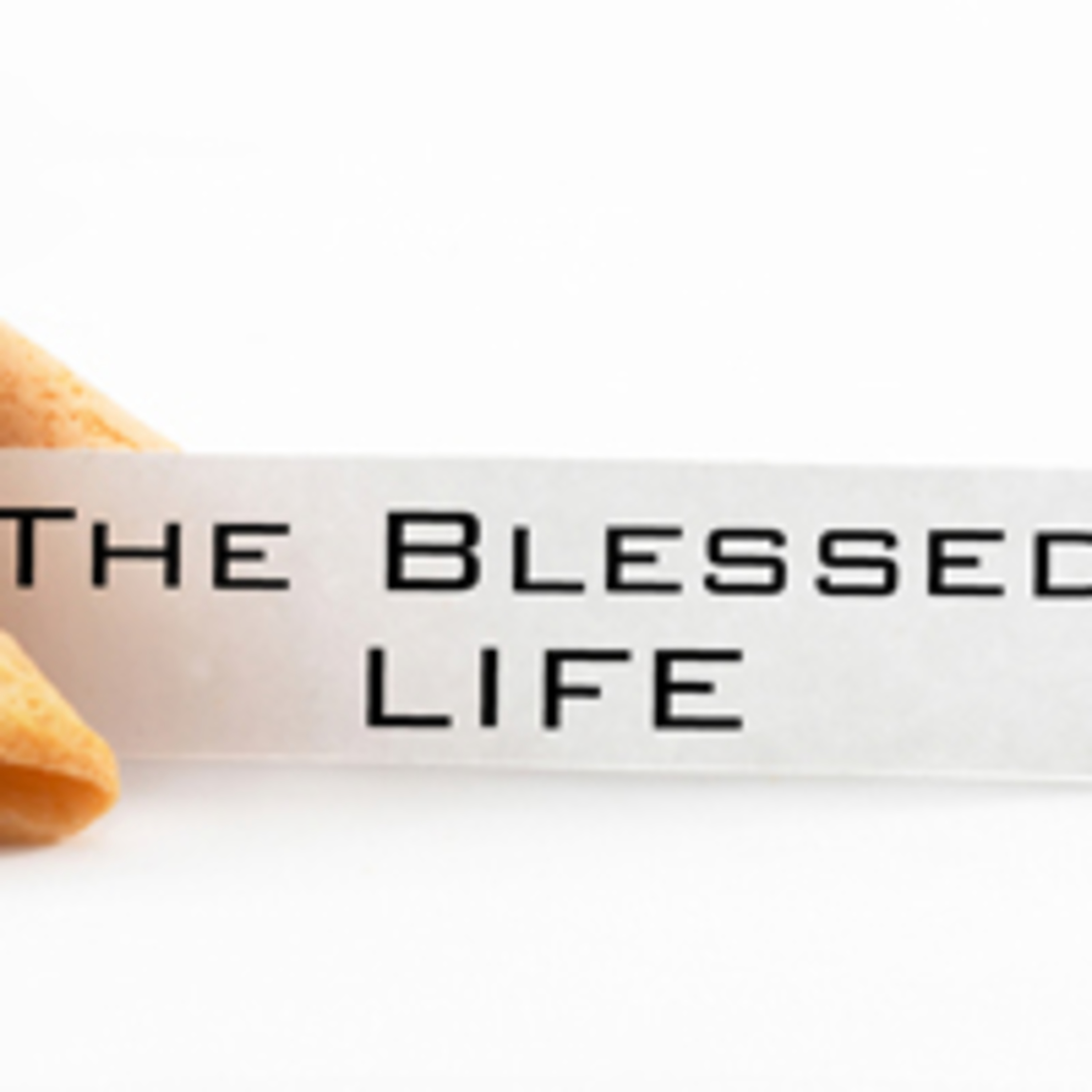 The Blessed Life Pt.1 - The Generous Life – Steve Ely – 2.13.11 episode artwork