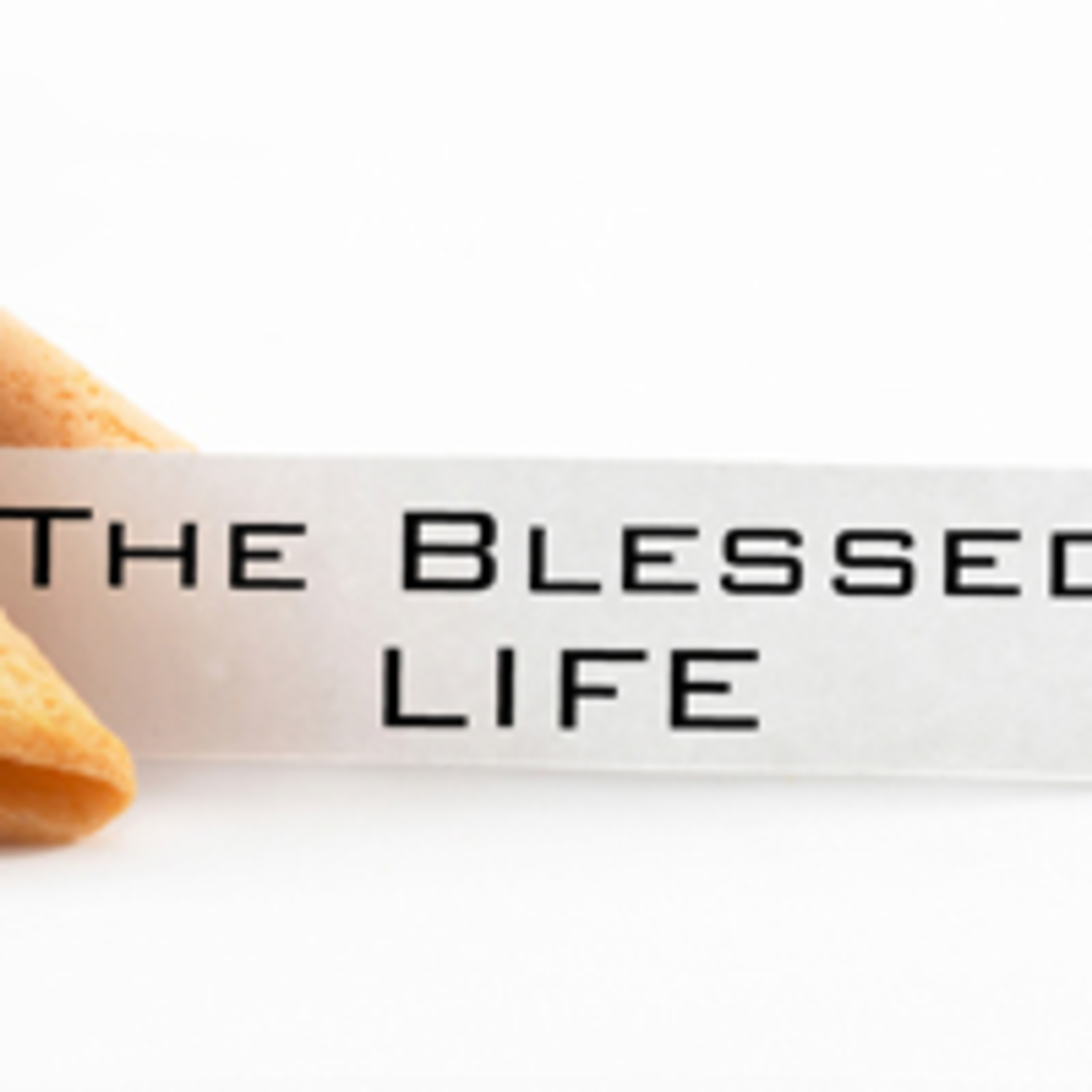 The Blessed Life Pt. 2 - The Shared Life – Steve Ely – 2.20.11 episode artwork