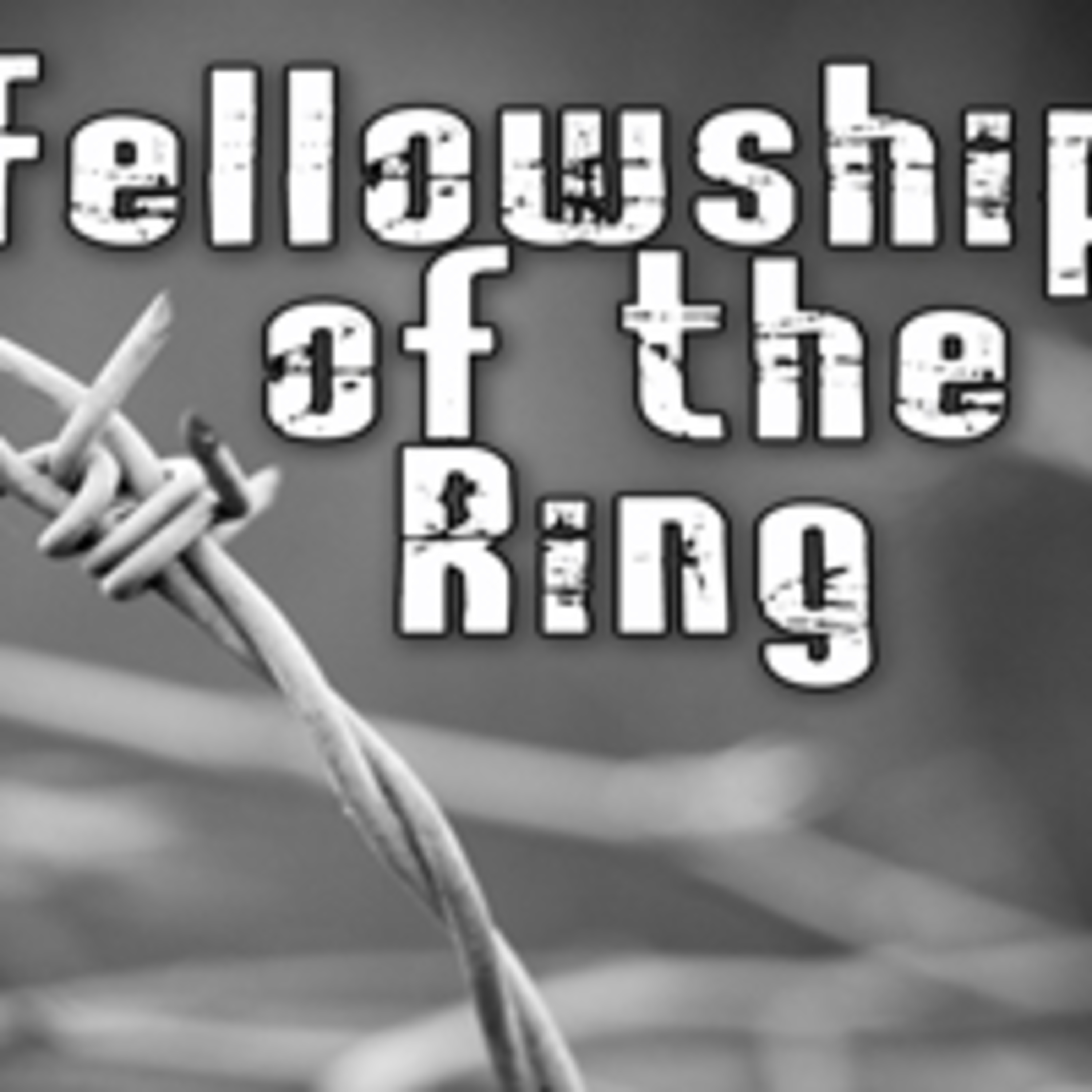 Fellowship of The Ring – Steve Ely – 04.24.11 episode artwork