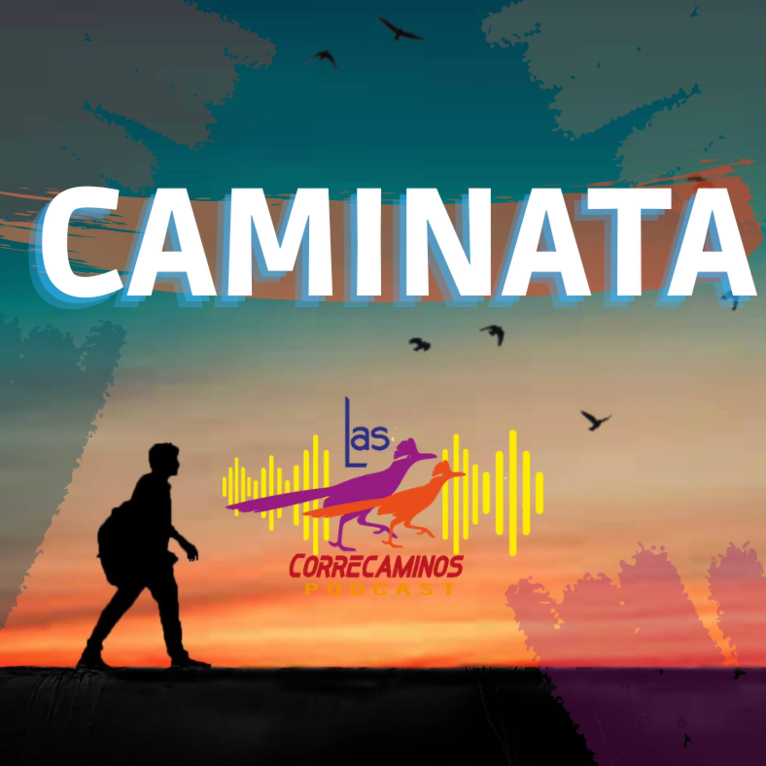 CAMINATA T02 E11 episode artwork