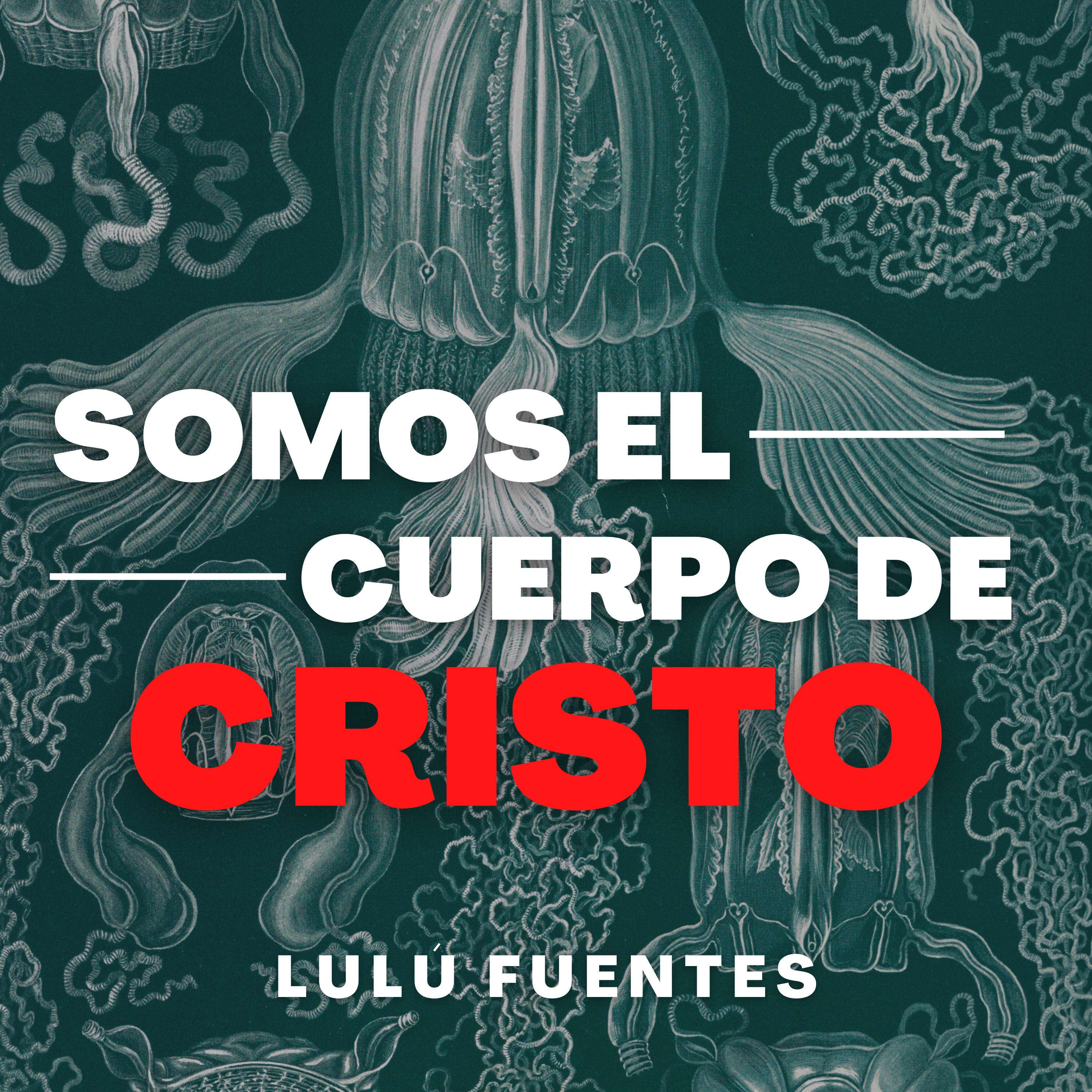 Portada de Comunidad Acapulco