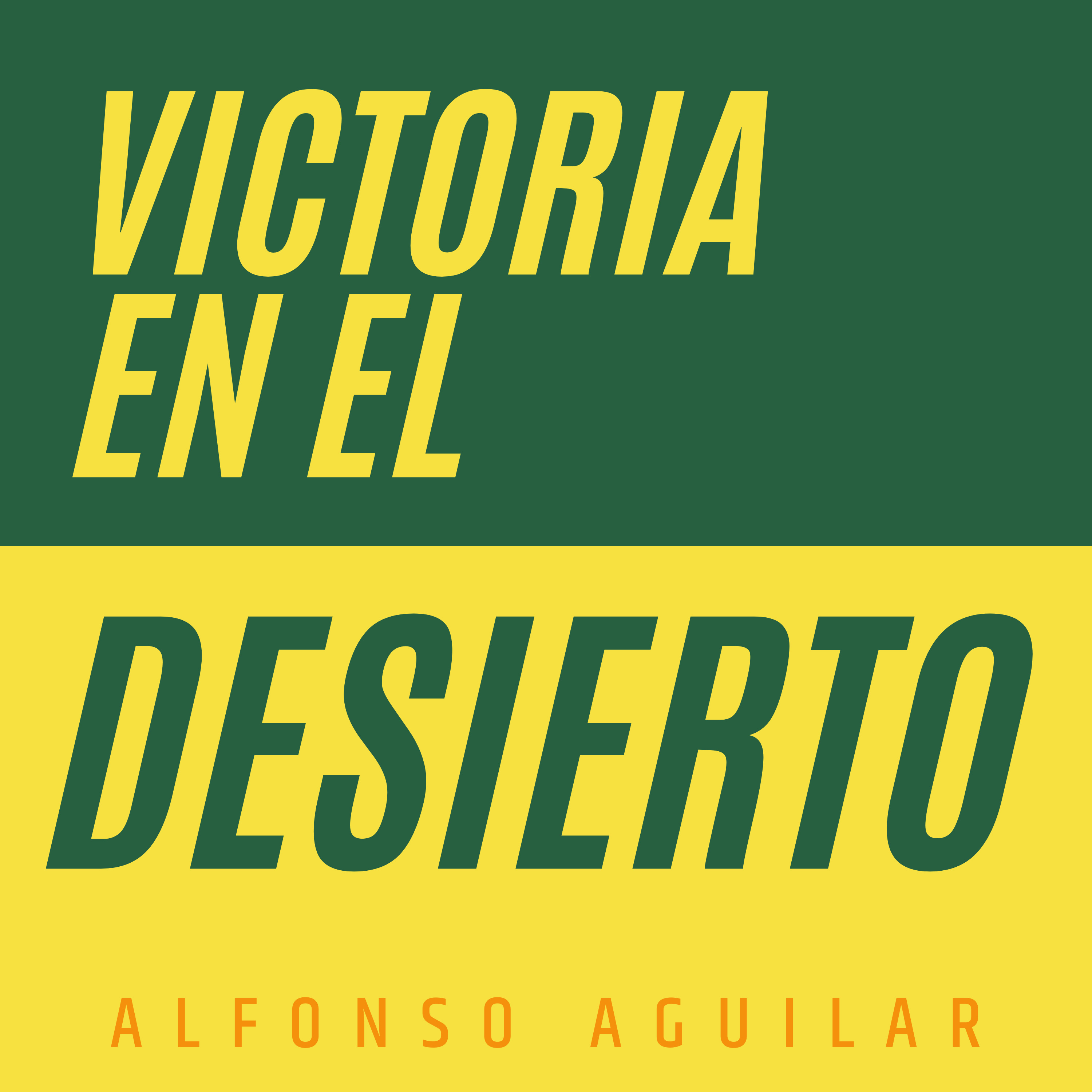 Portada de Comunidad Acapulco