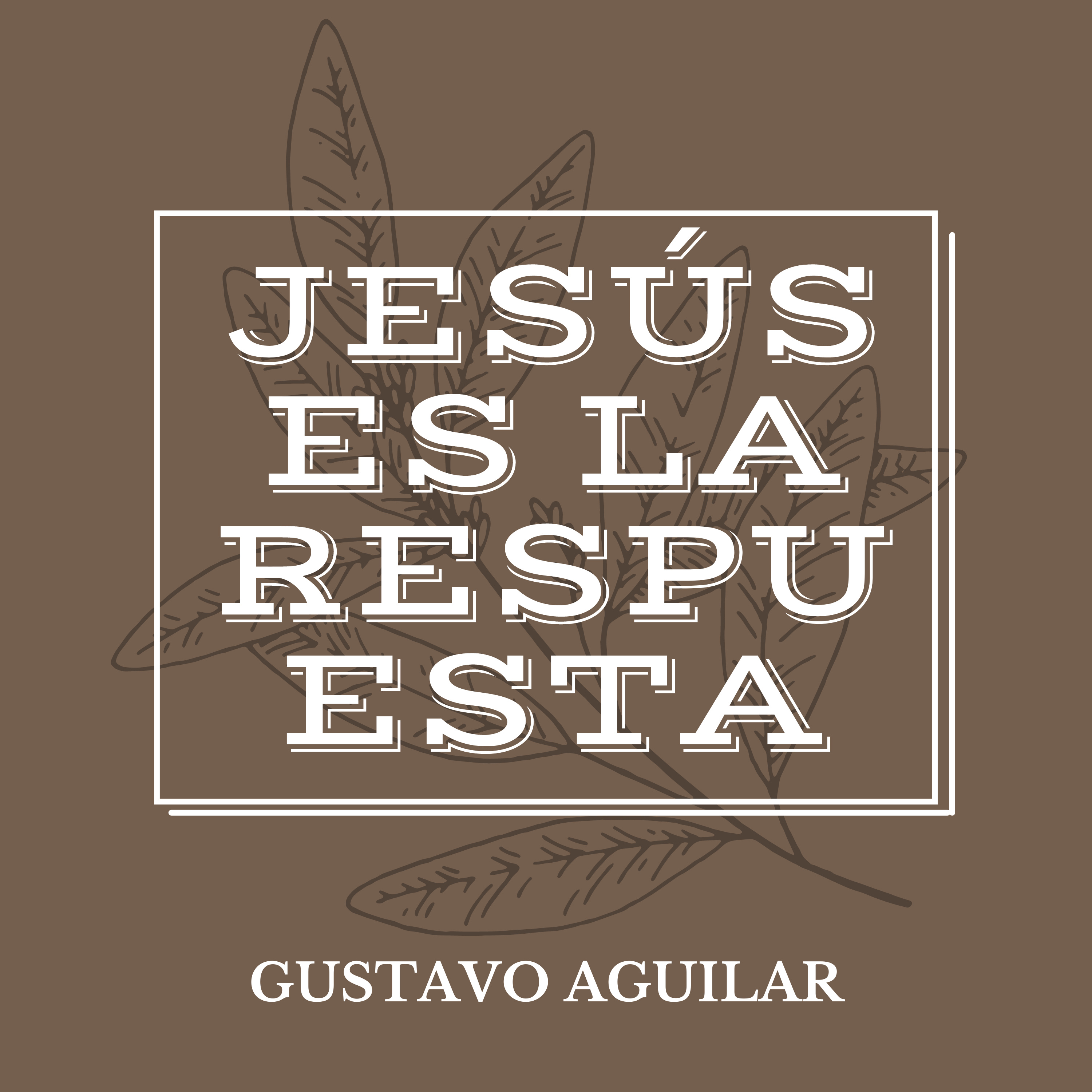 Portada de Comunidad Acapulco