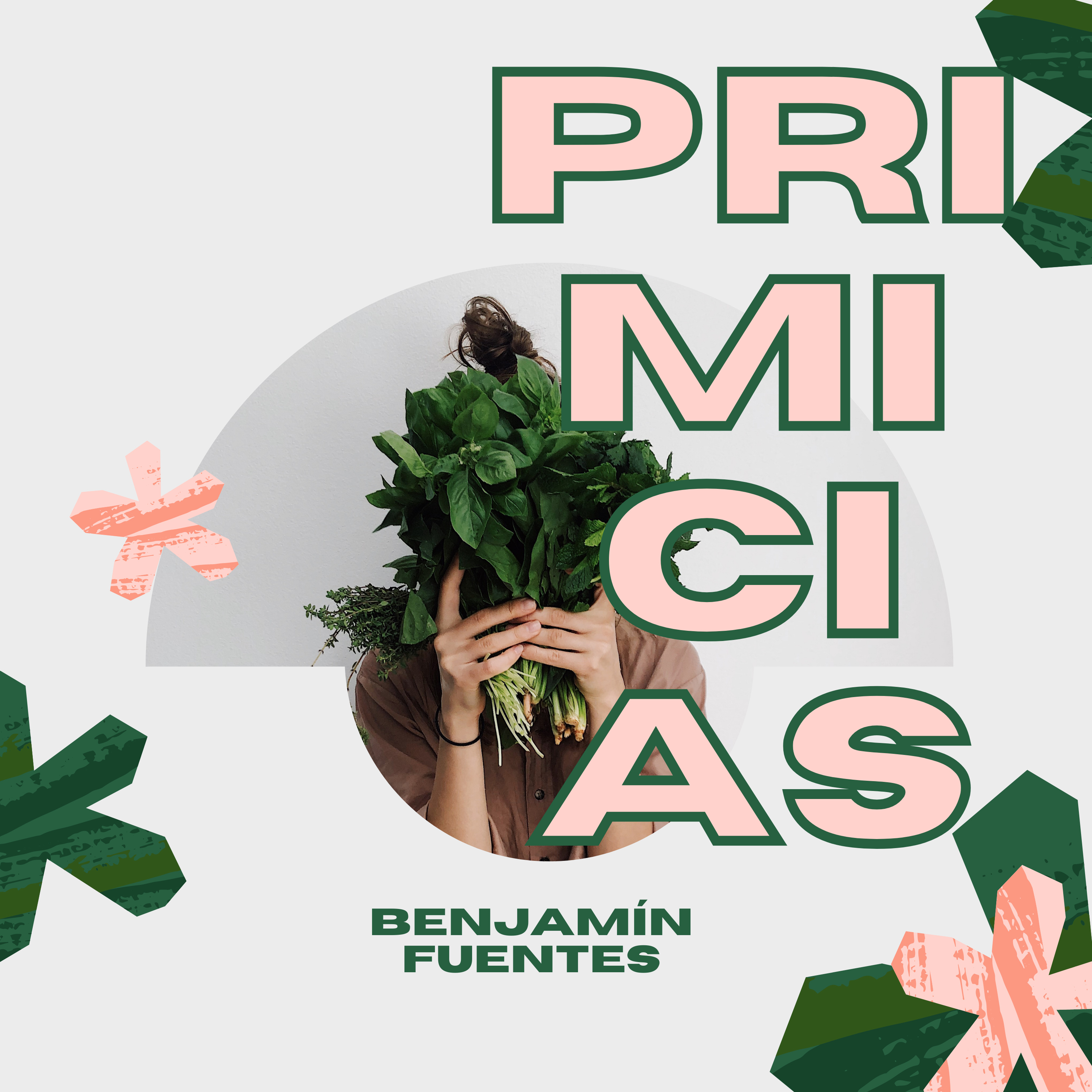 Portada de Comunidad Acapulco