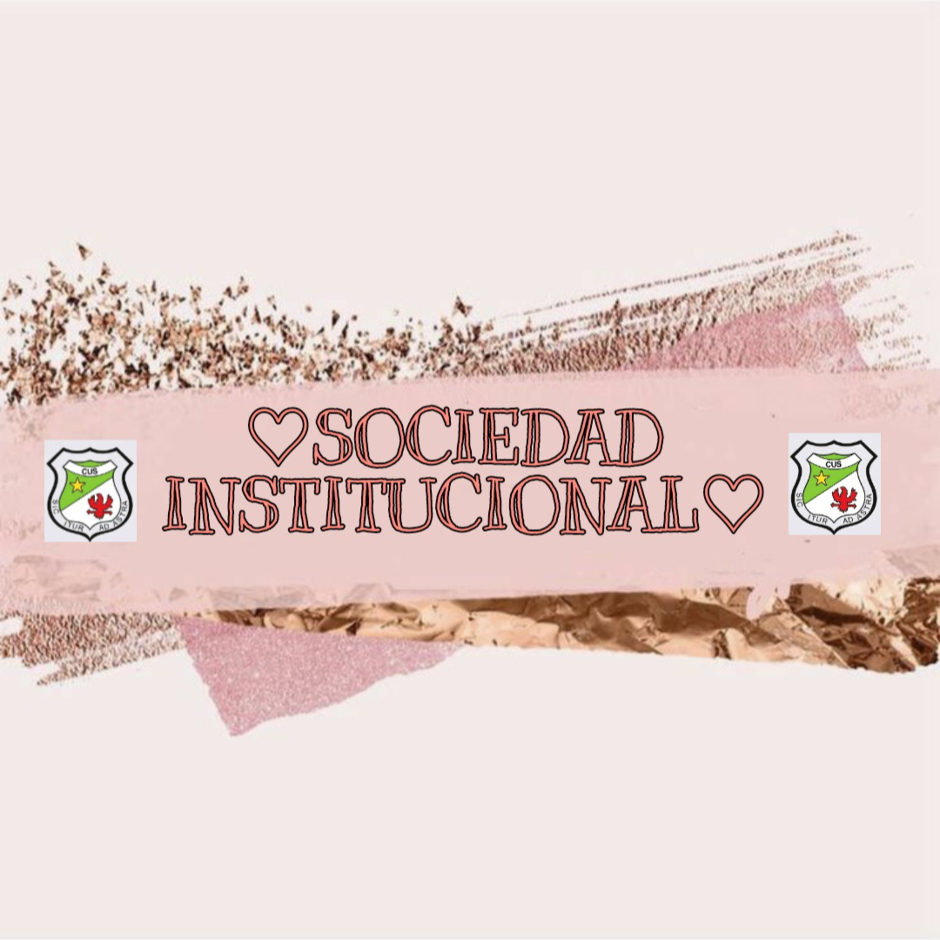 Sociedad Institucional🤩