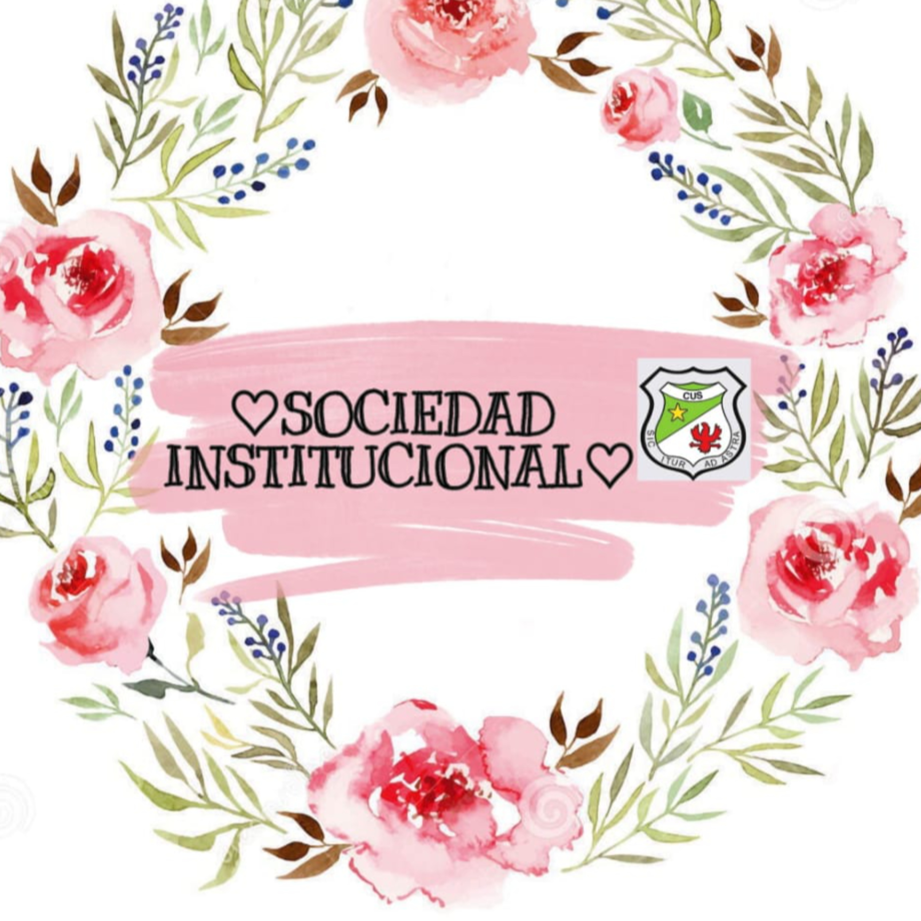 Sociedad Institucional🤩