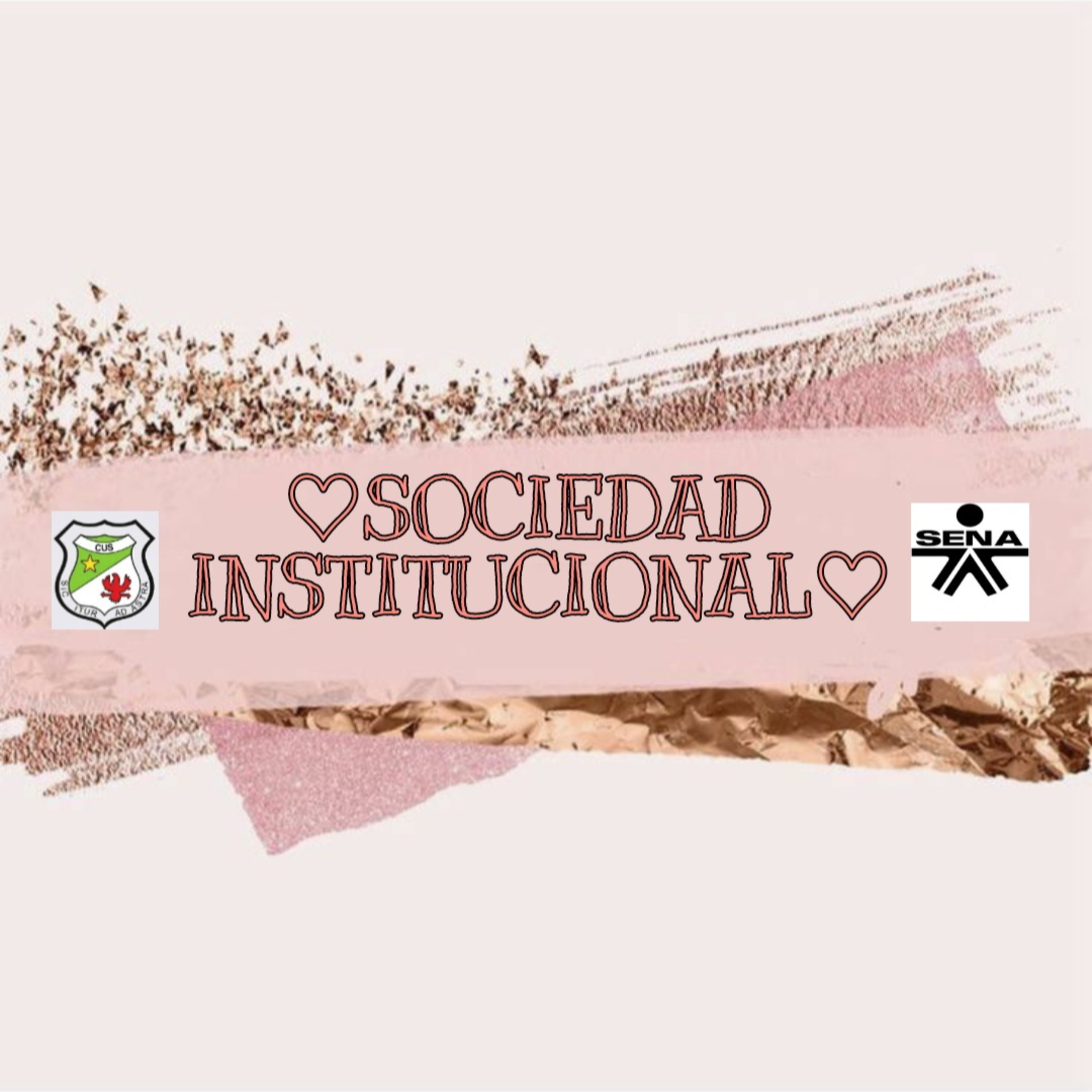 Sociedad Institucional🤩
