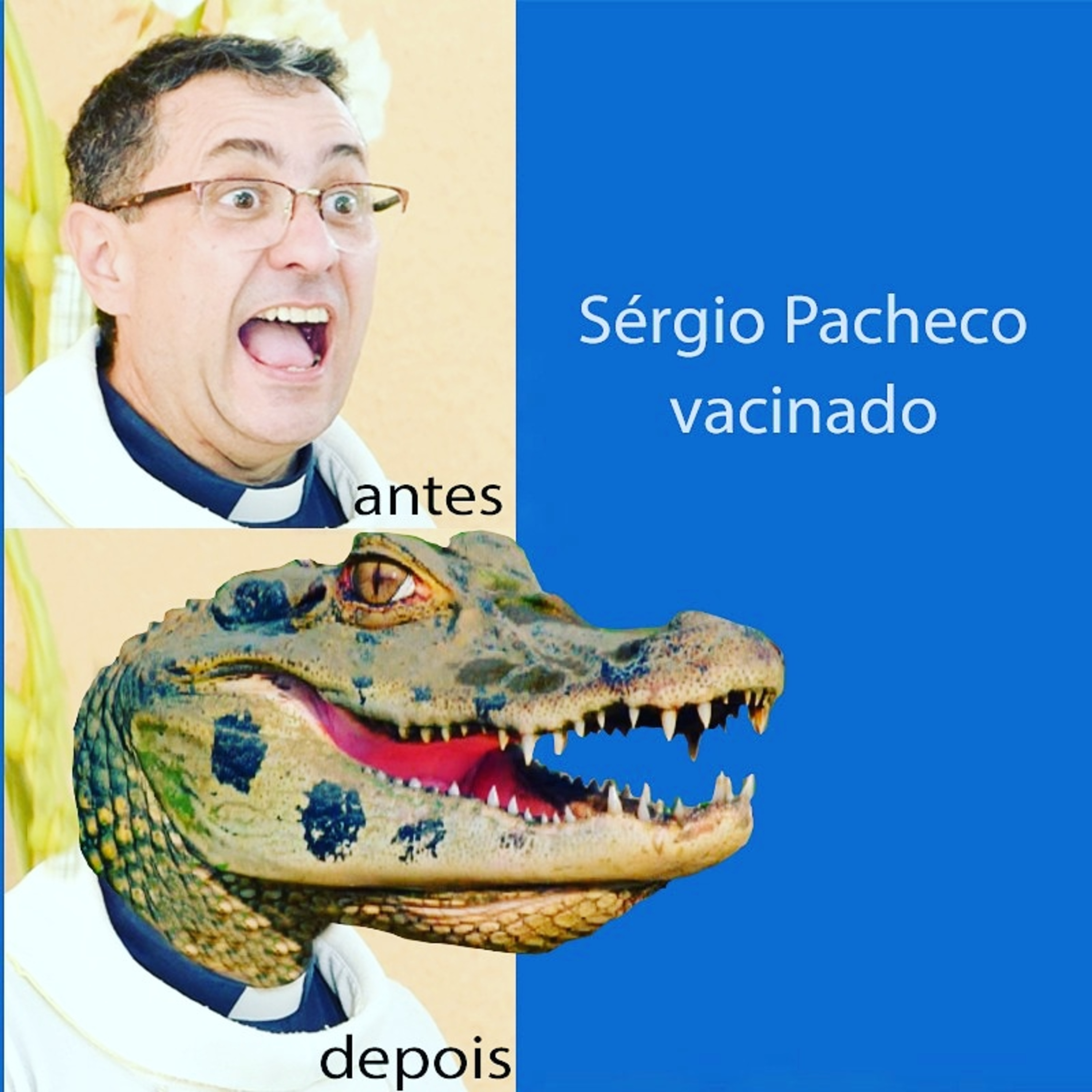 RADIO DASP