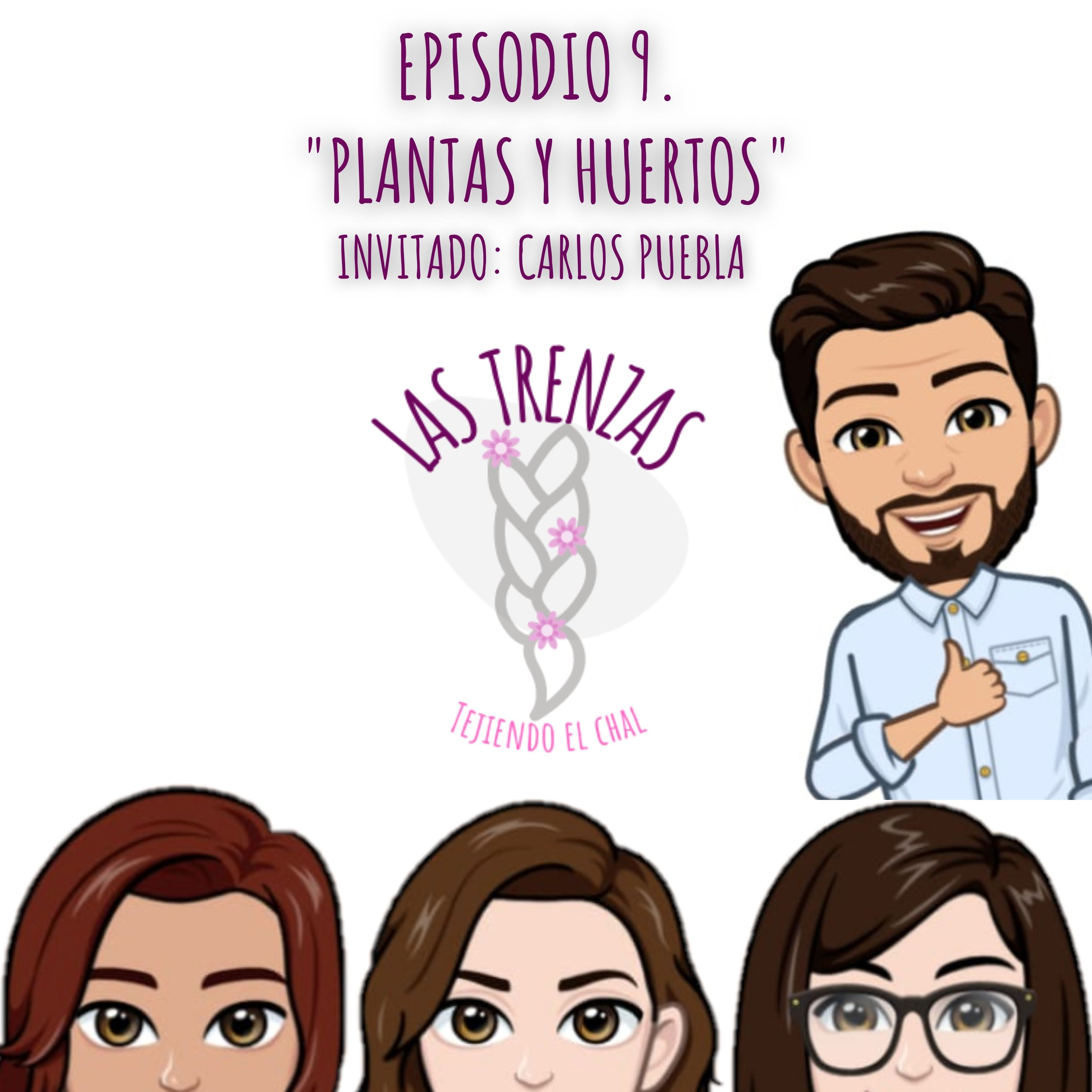 Las Trenzas