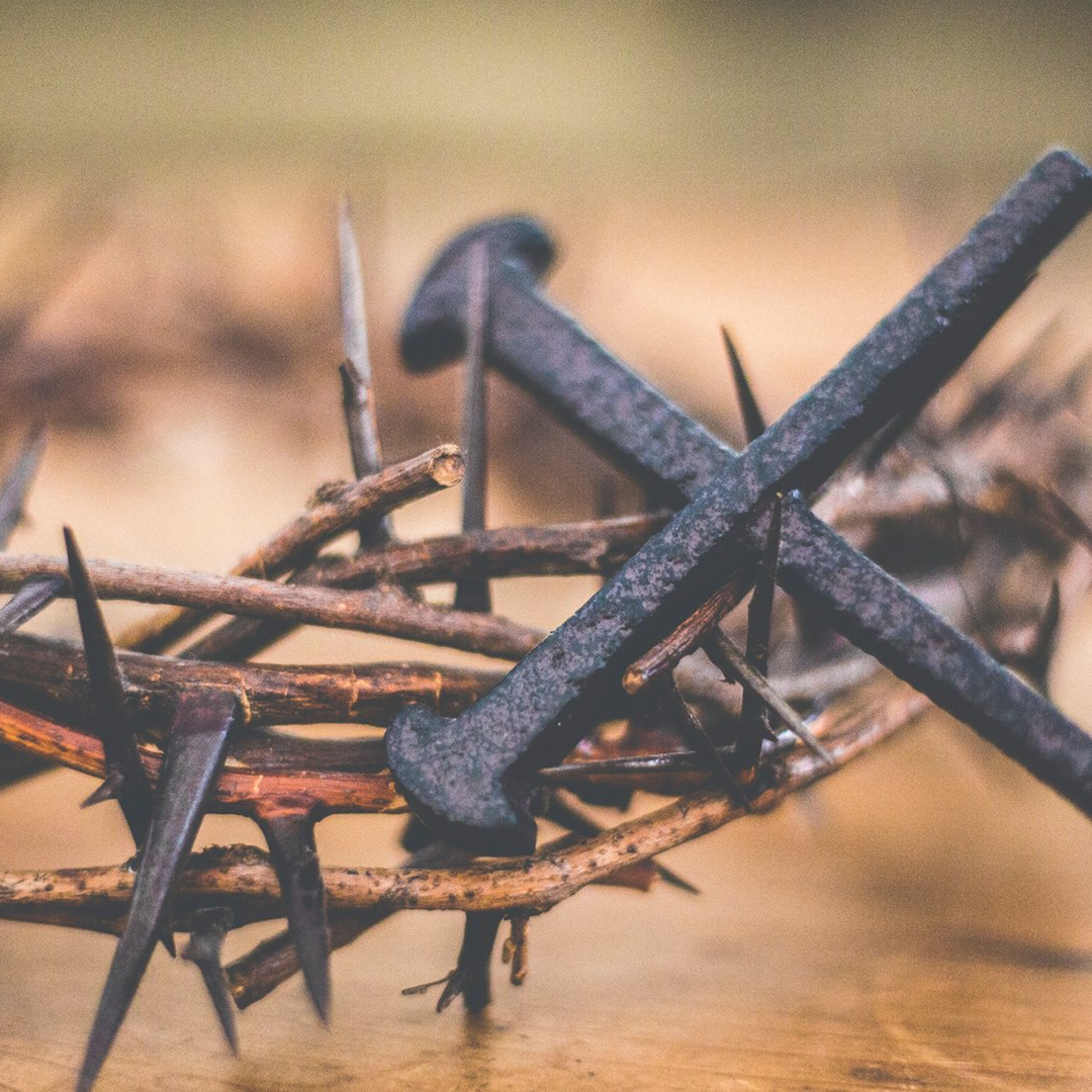 The Wine of Life with Pastor Wes